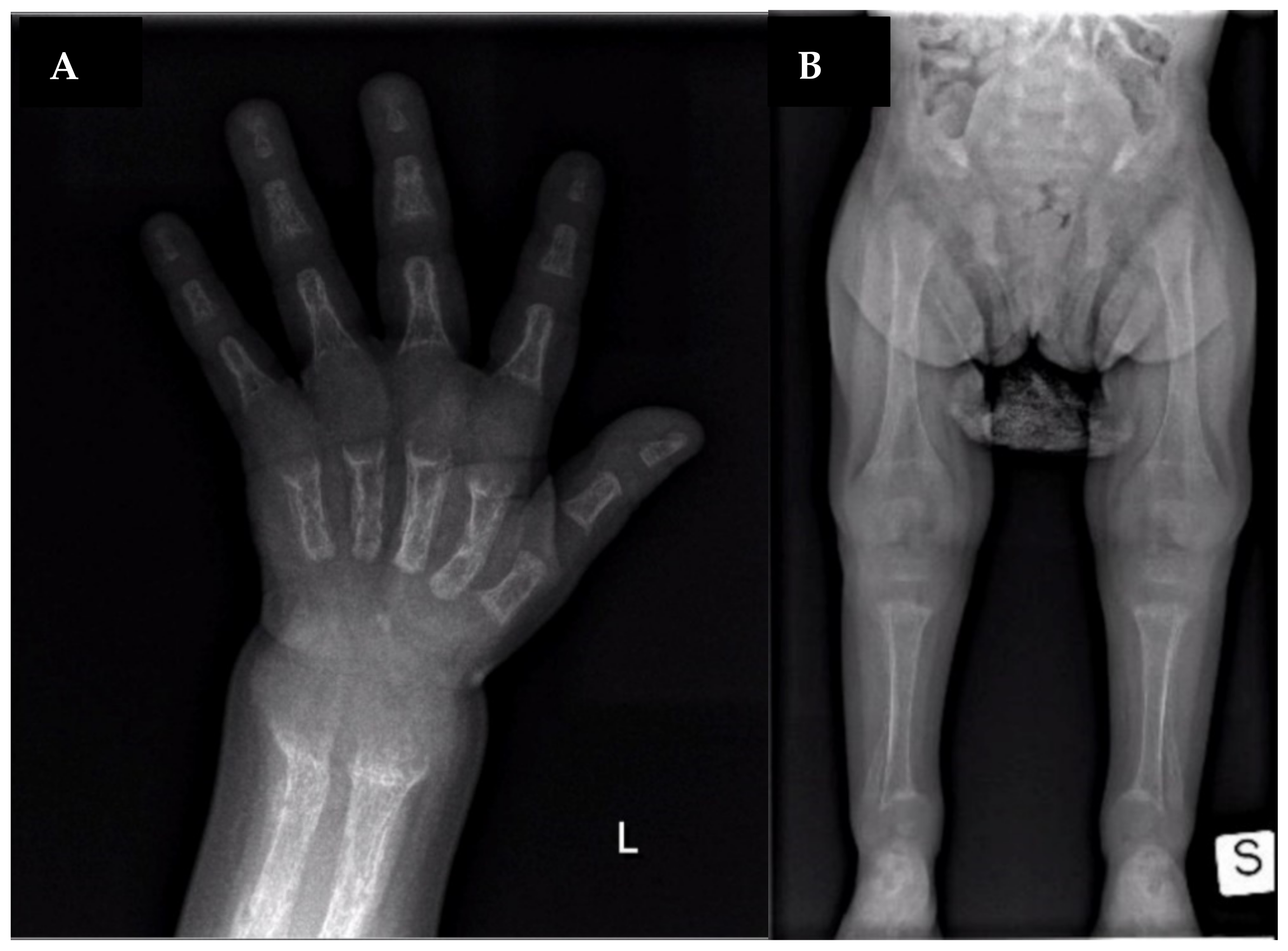 Ijerph 18 08771 g001