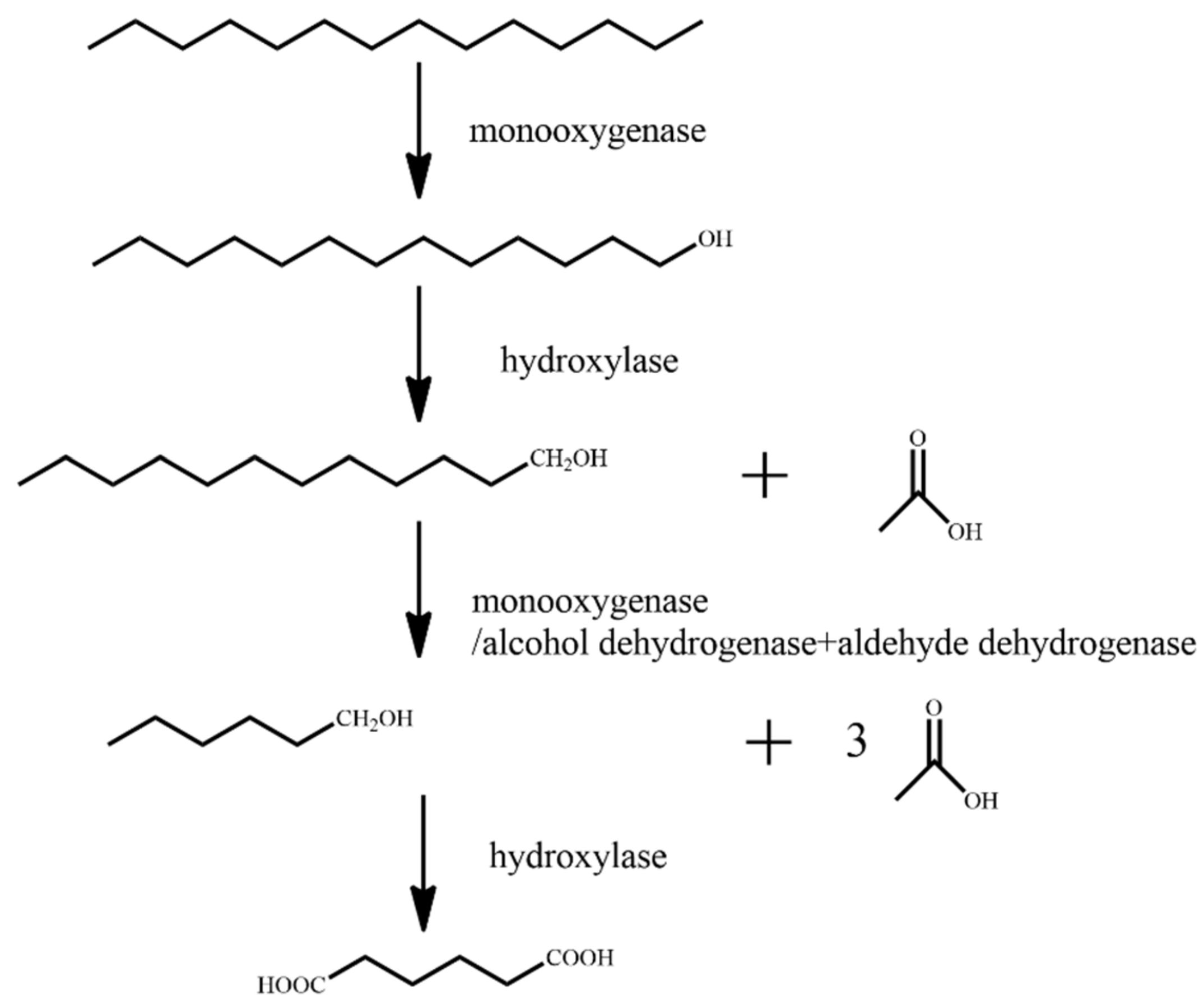 Ijerph 18 08794 g001
