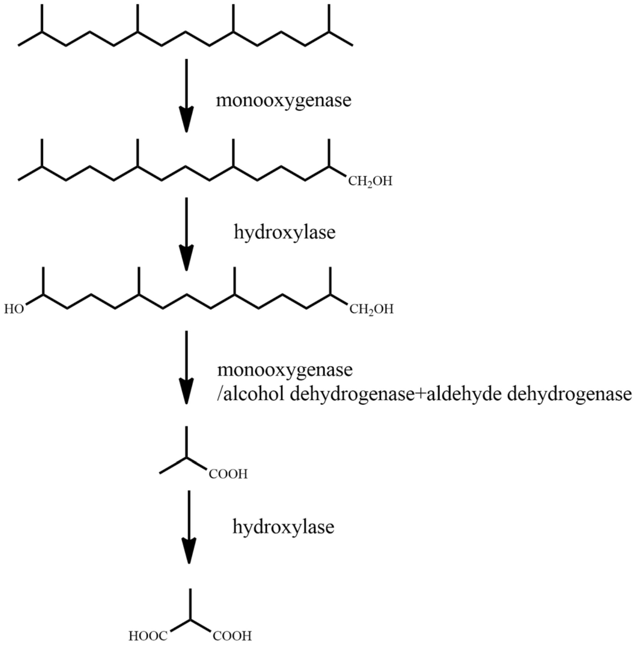 Ijerph 18 08794 g002