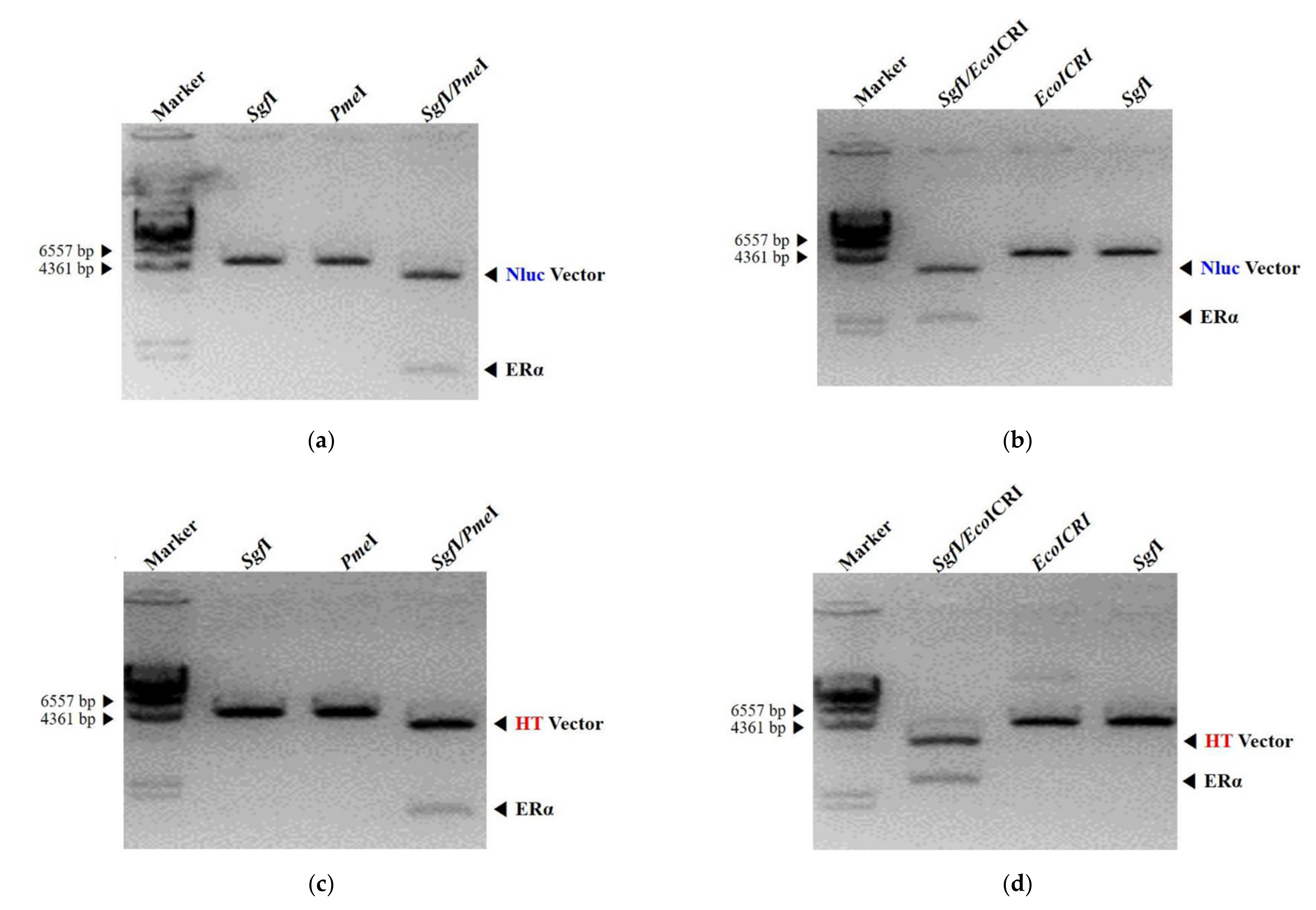 Ijerph 18 08875 g002