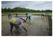 Ijerph 18 08942 i002