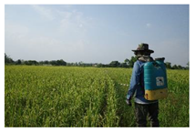 Ijerph 18 08942 i003