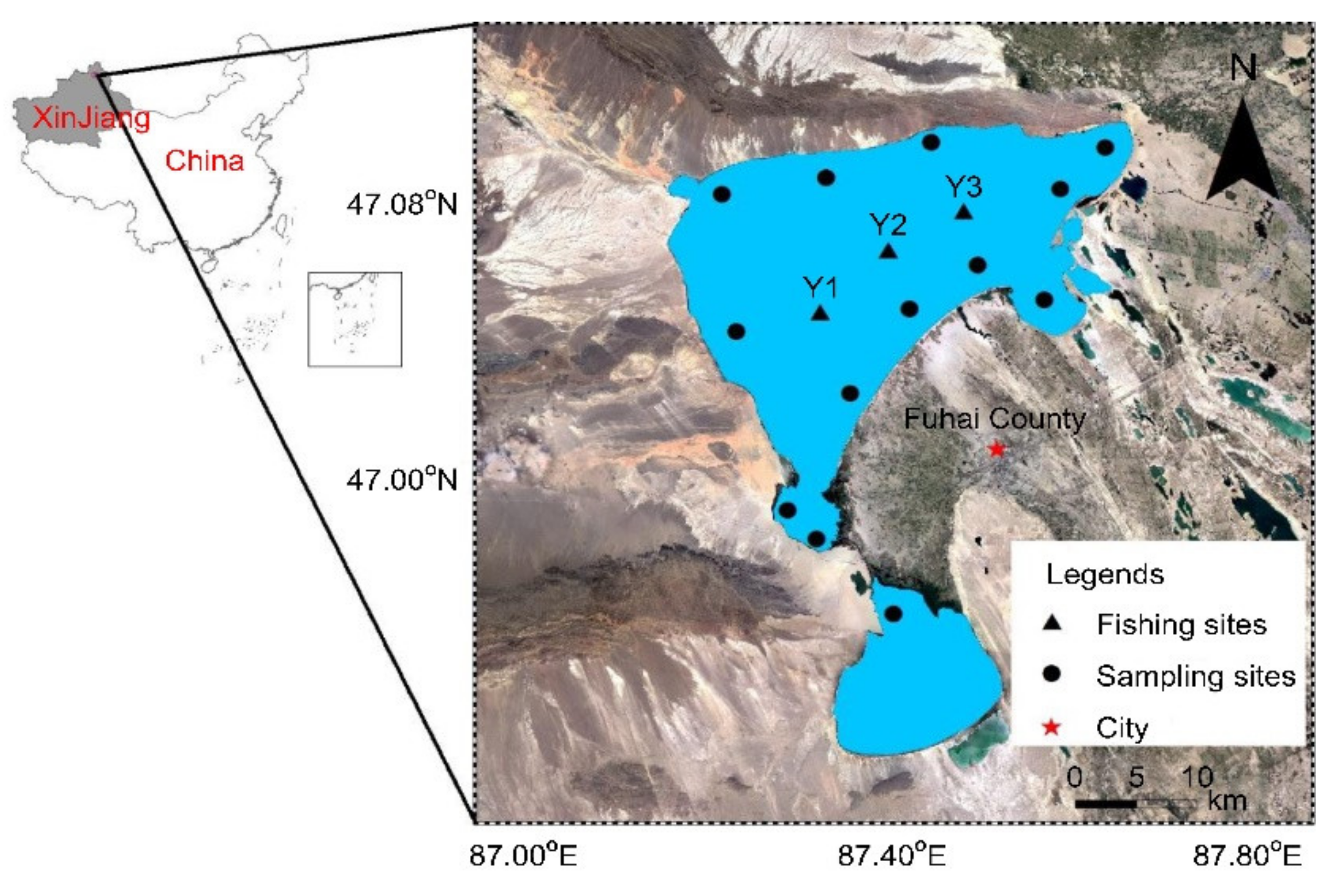 Ijerph 18 09007 g001 Ijerph 18 09007 g001
