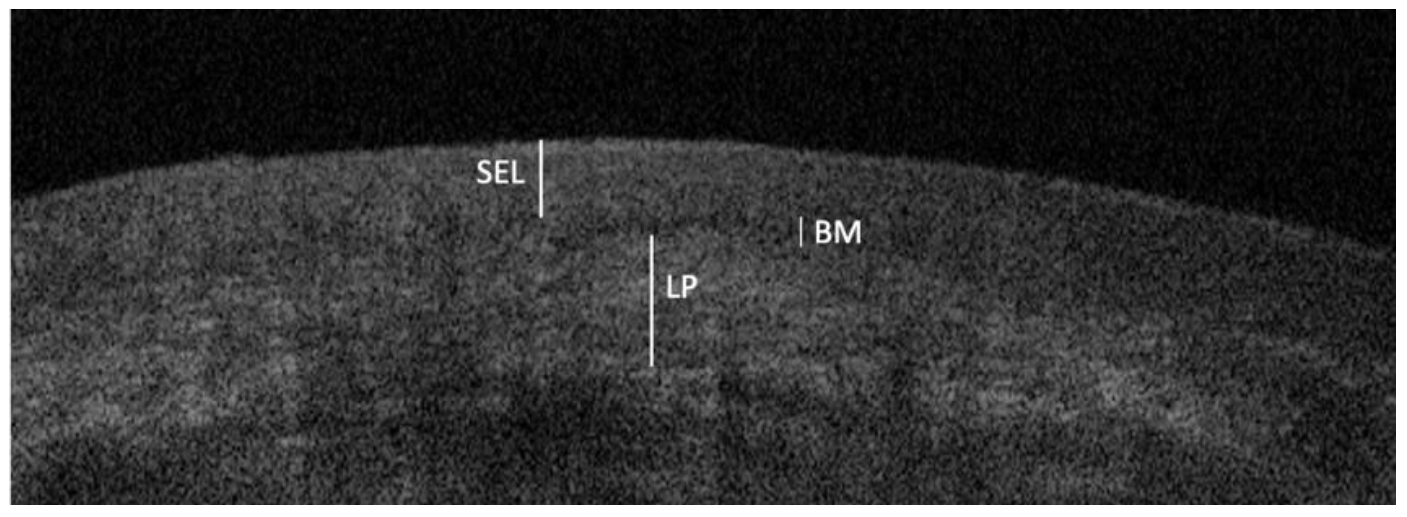 Ijerph 18 09095 g002