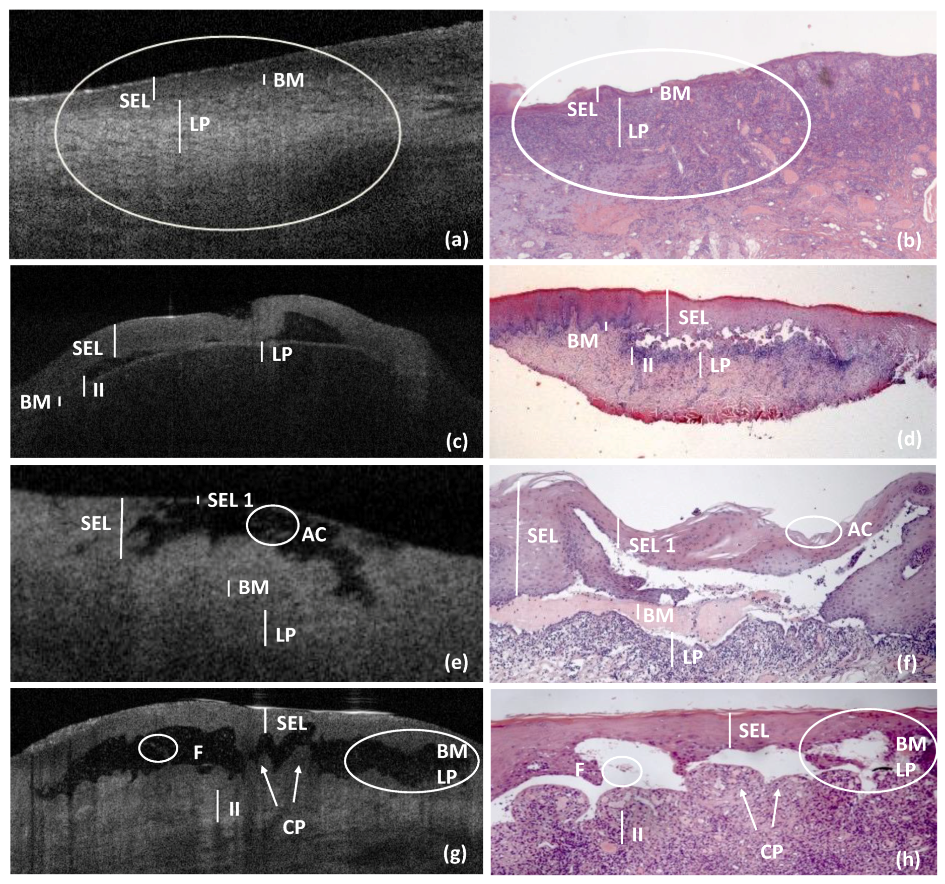 Ijerph 18 09095 g003