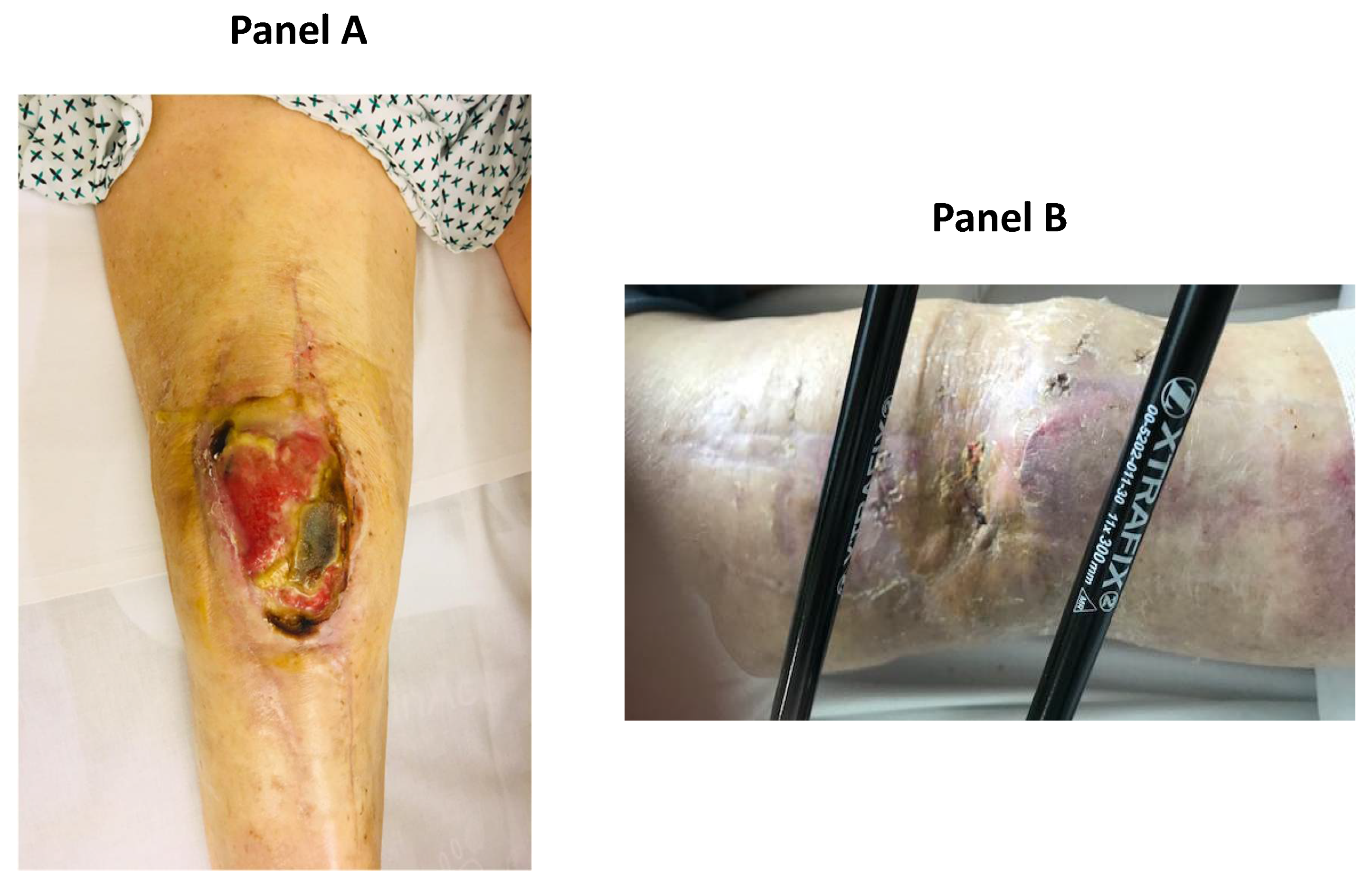 Ijerph 18 09186 g001