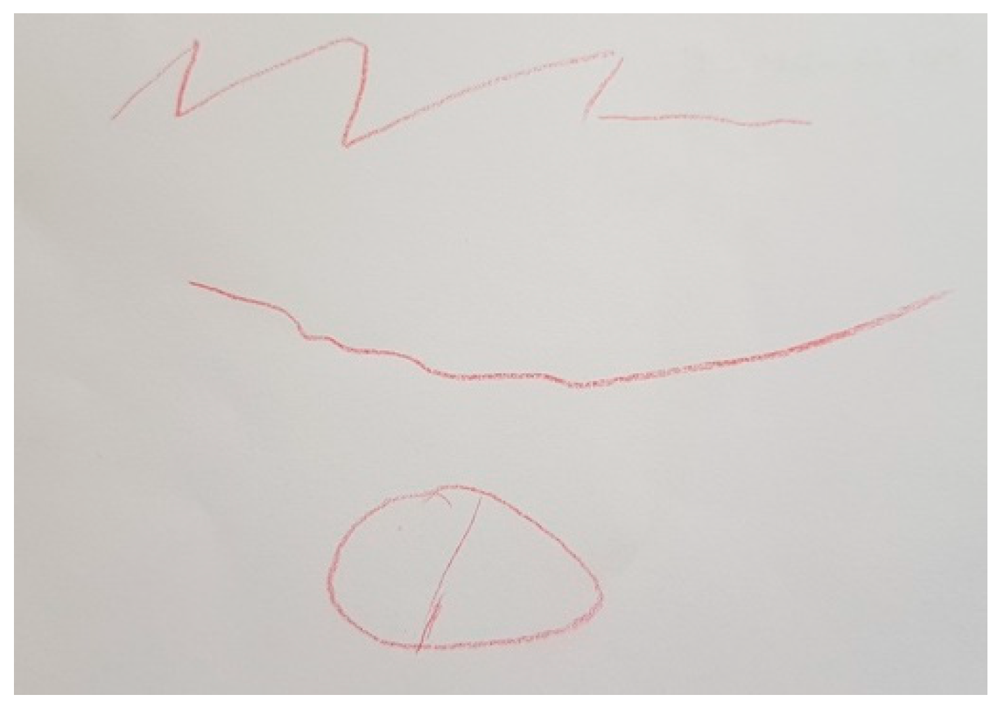 Ijerph 18 09516 g001