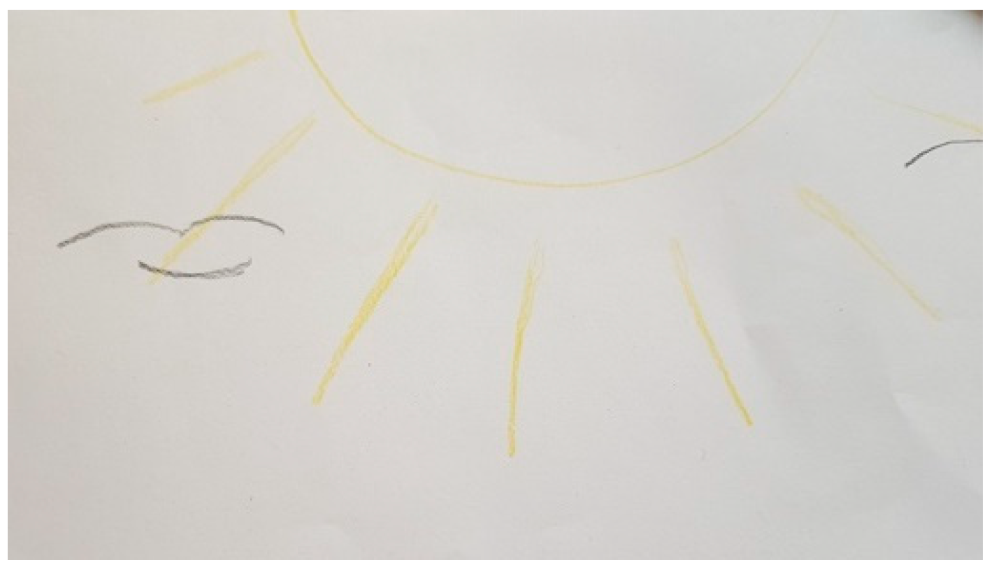 Ijerph 18 09516 g011