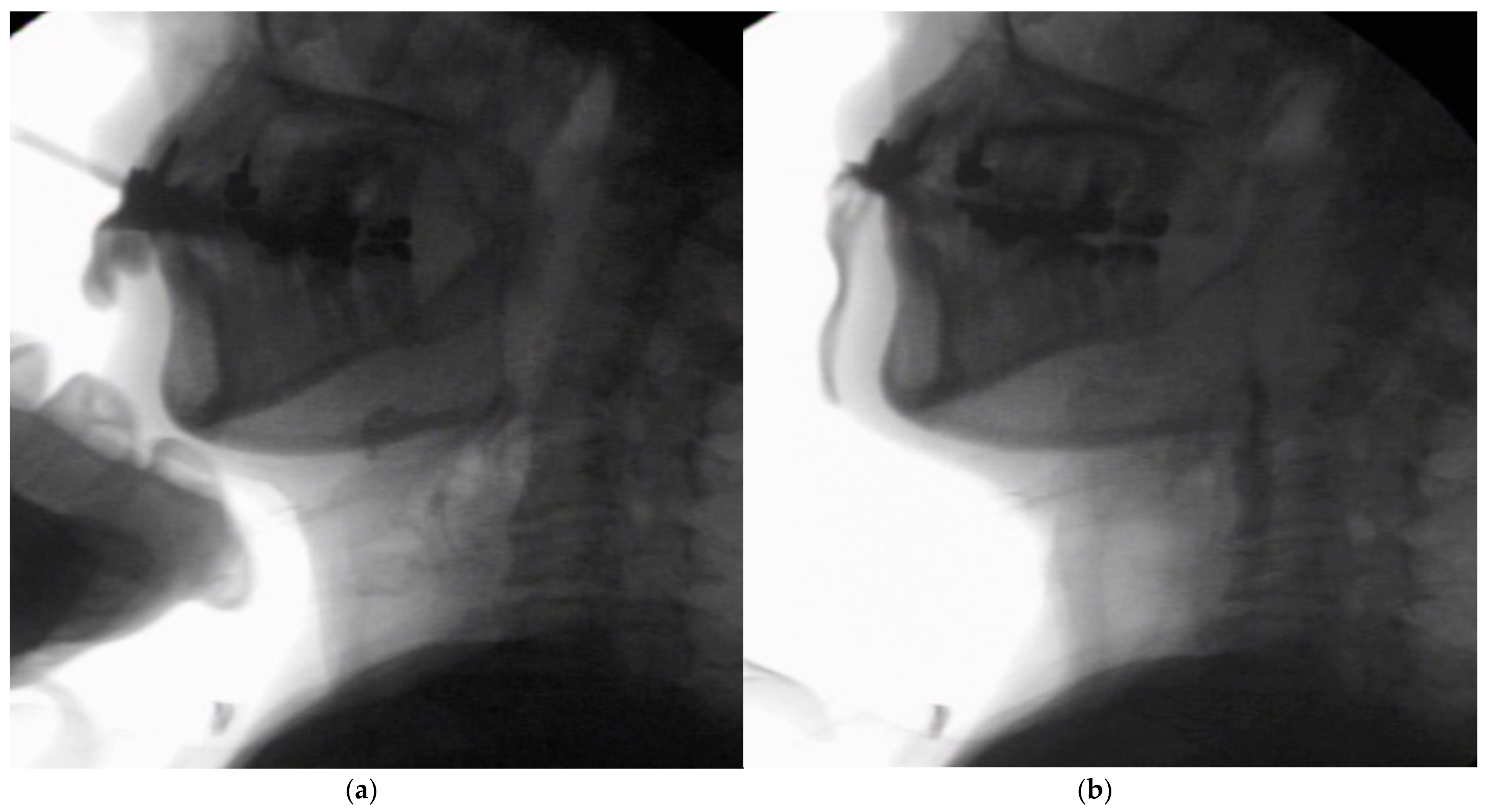 Ijerph 18 09734 g001