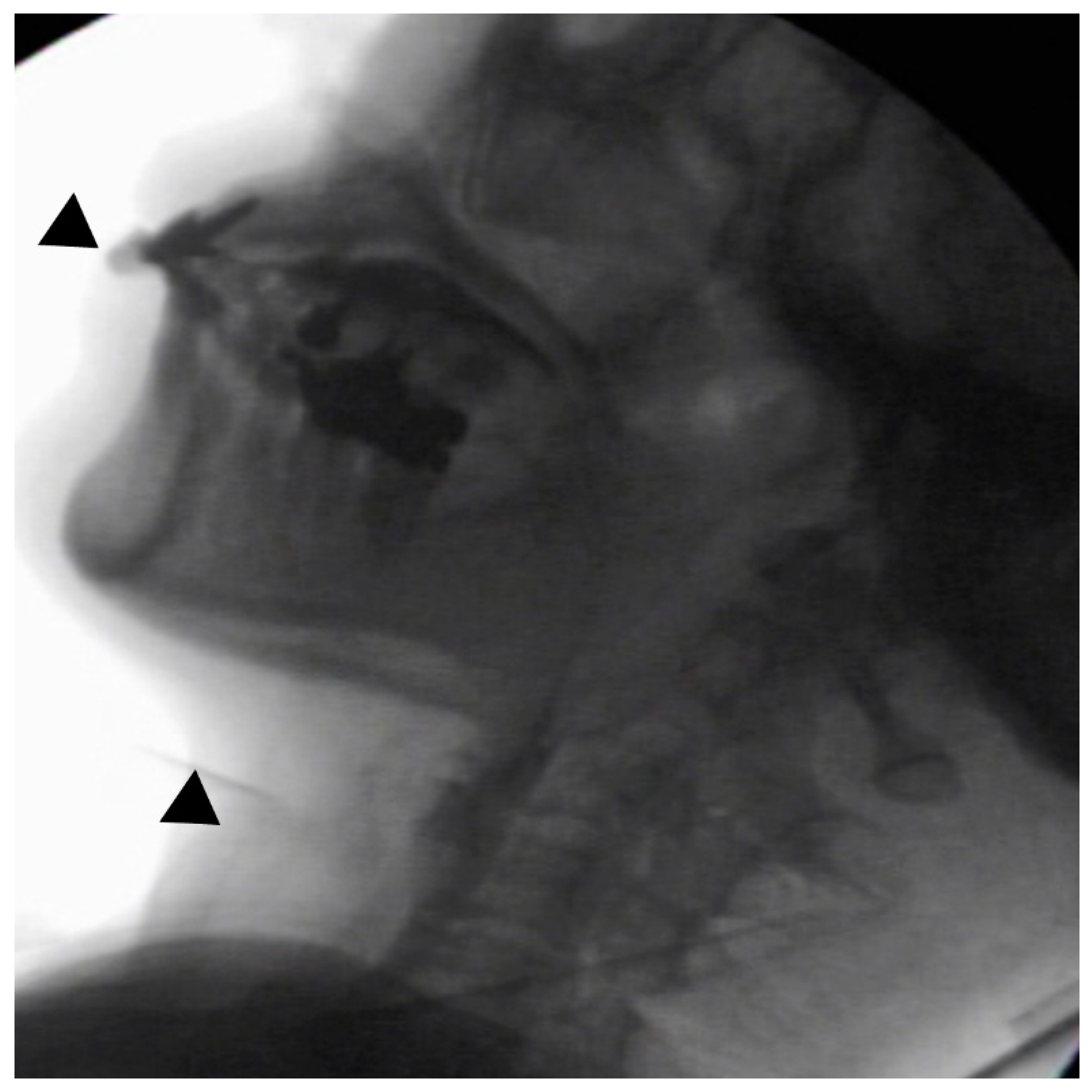 Ijerph 18 09734 g002