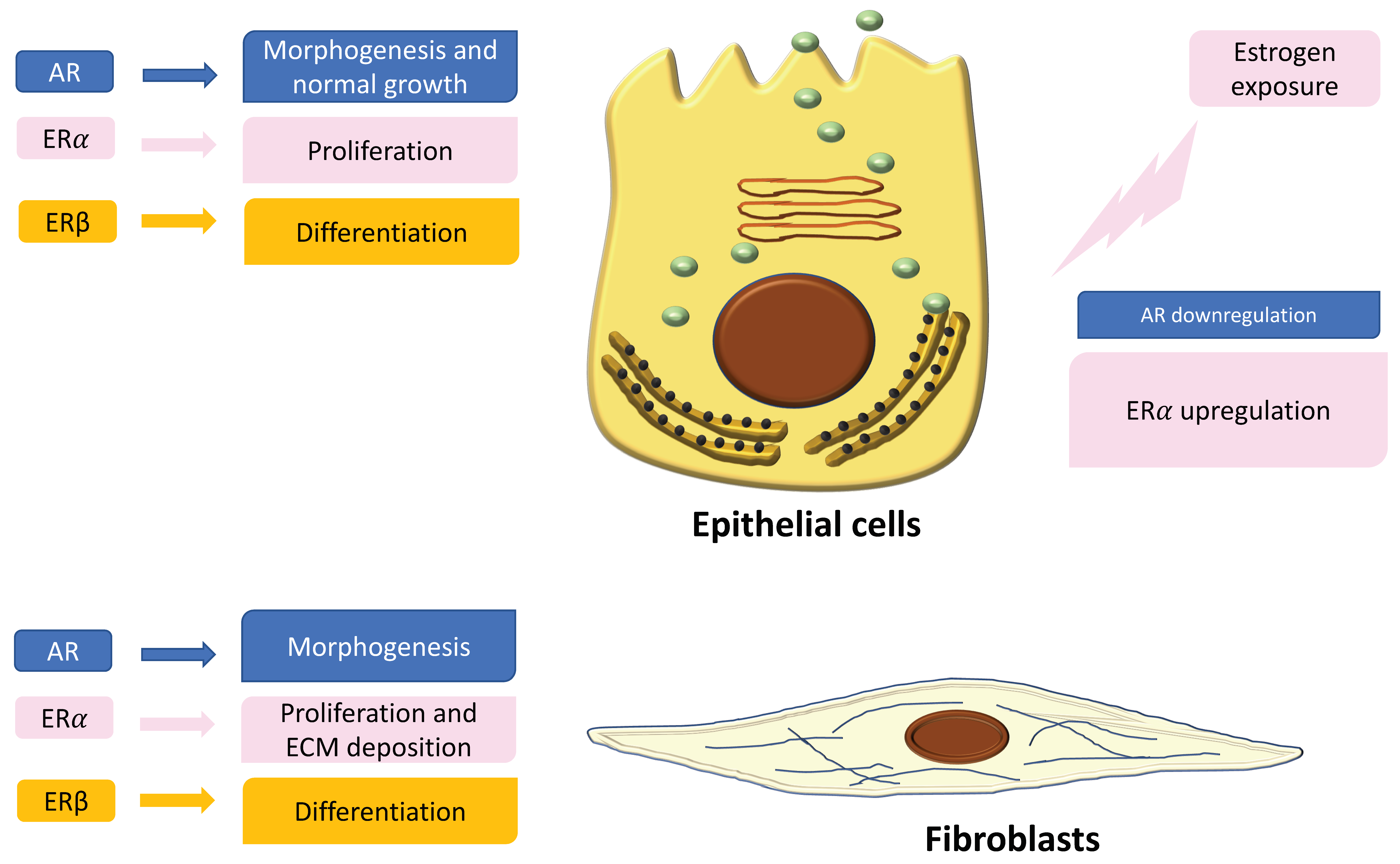 Ijerph 18 09772 g001
