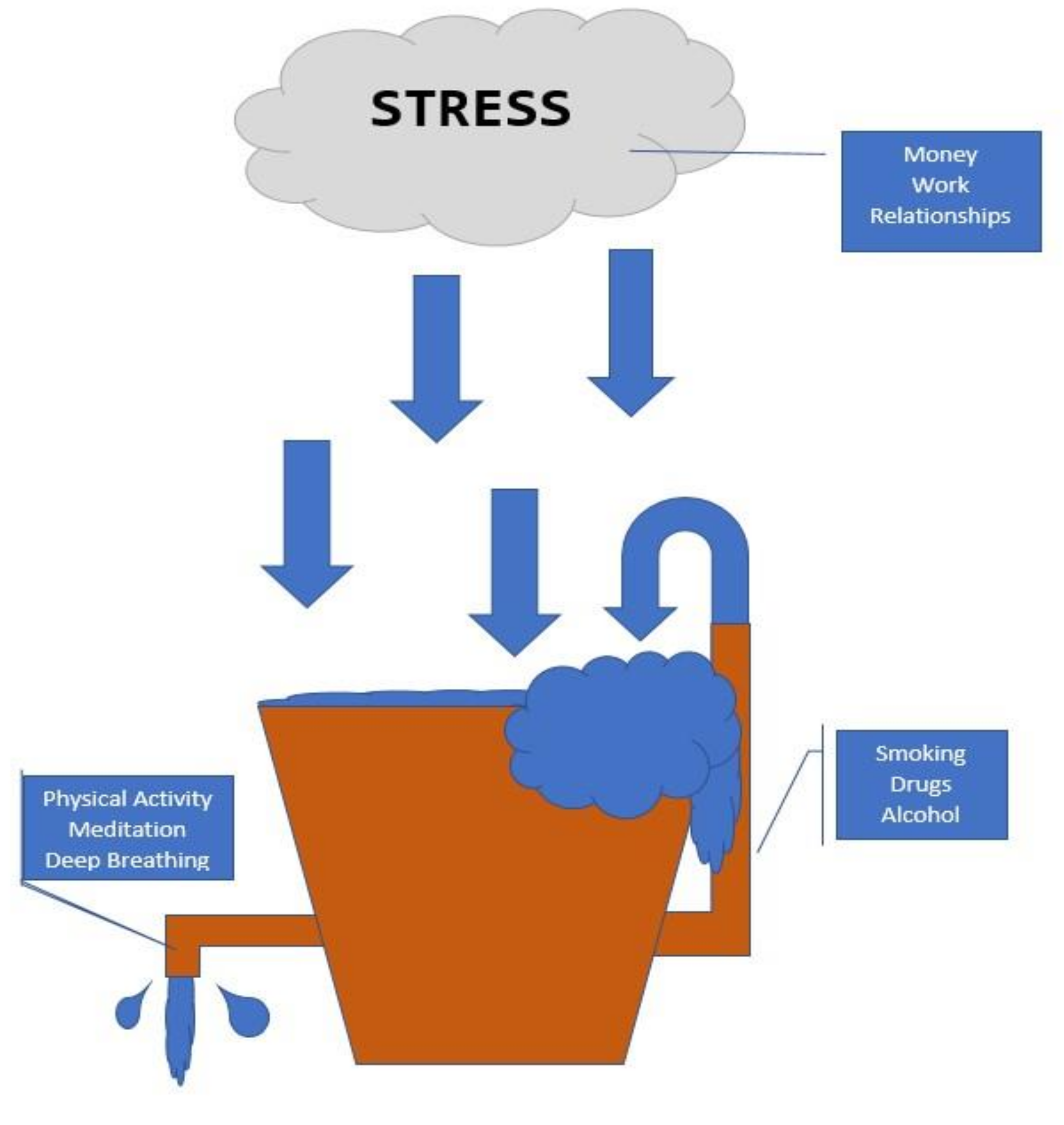 Ijerph 18 09922 g001