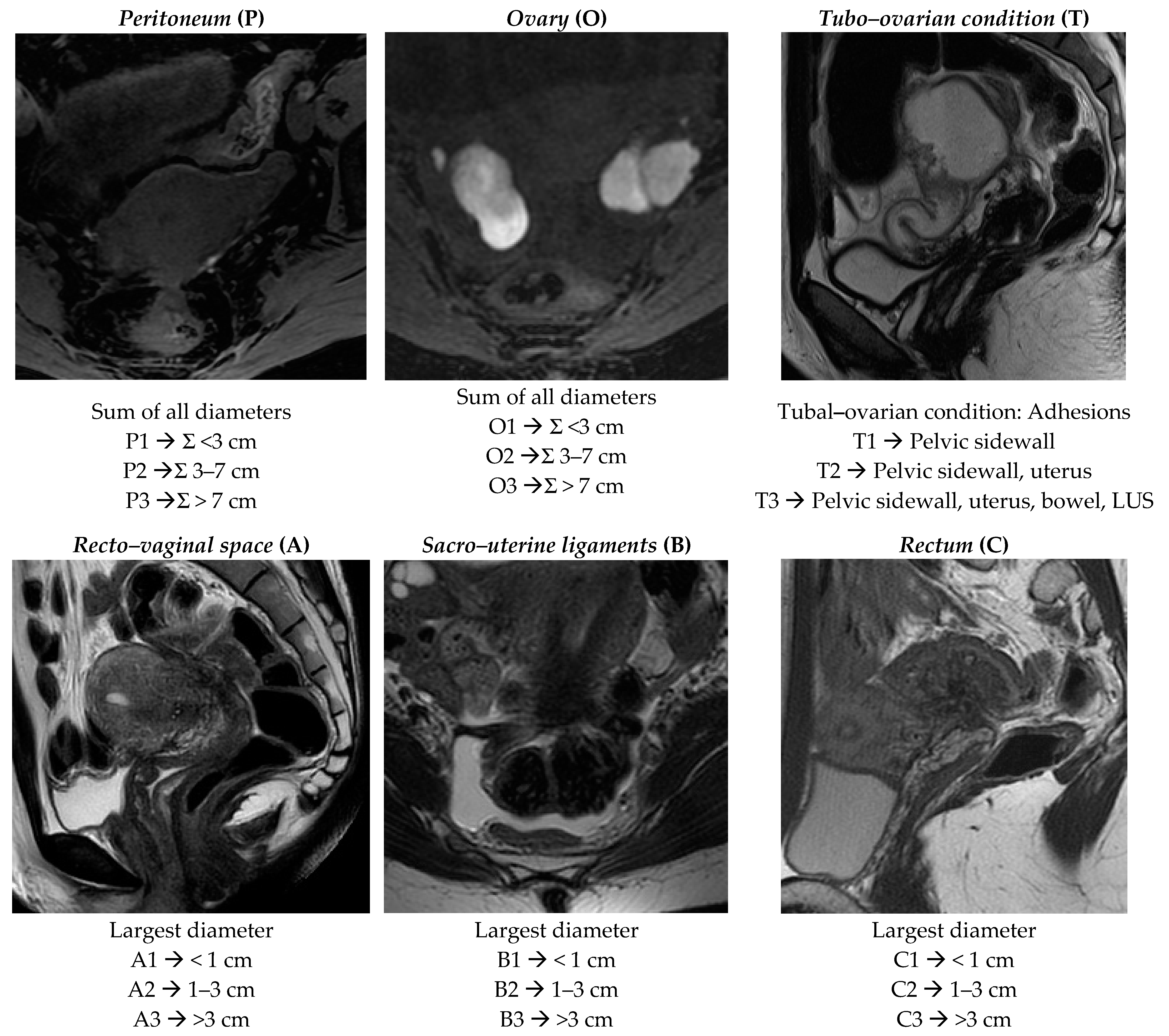 Ijerph 18 09949 g001
