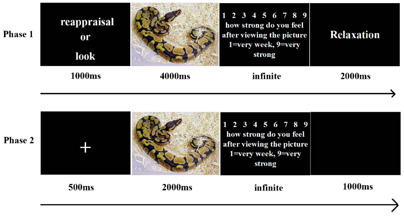 Ijerph 18 10242 g001