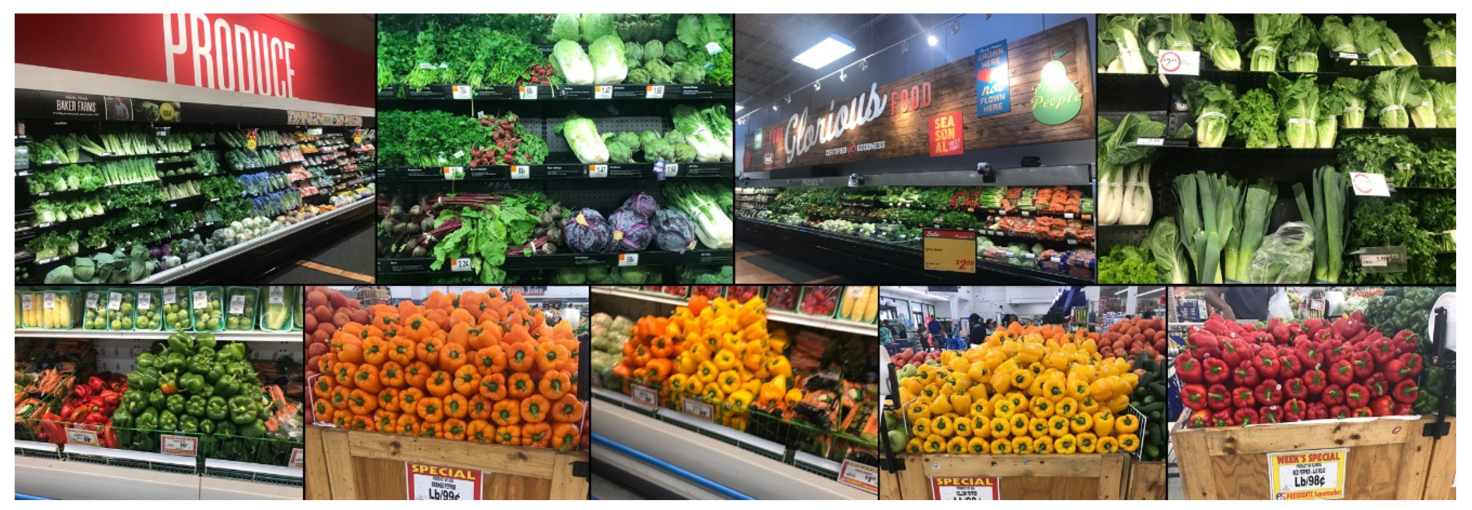 Ijerph 18 10297 g001