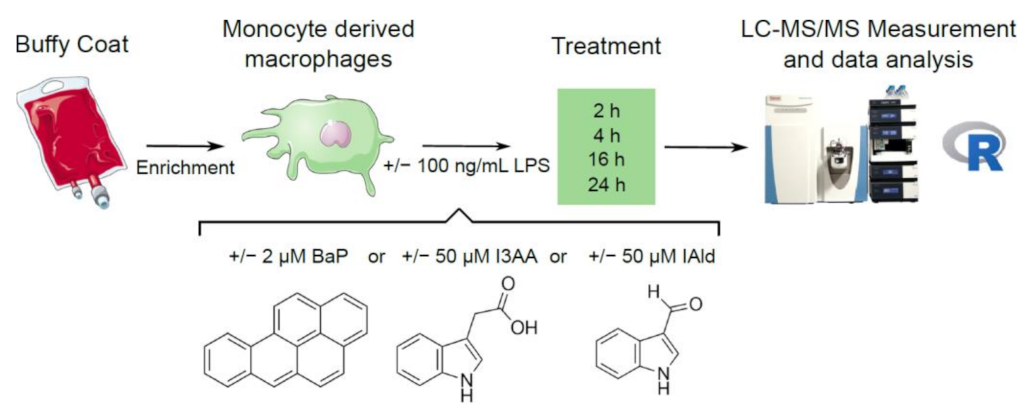 Ijerph 18 10336 g001