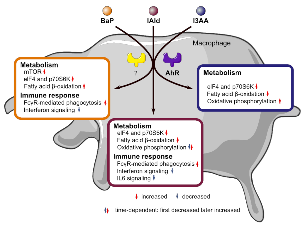 Ijerph 18 10336 g006