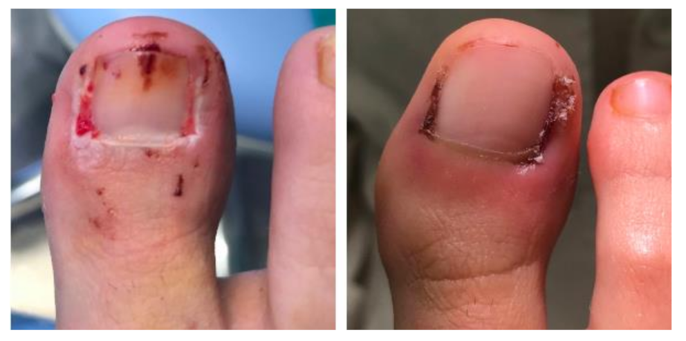 Ijerph 18 10478 g003