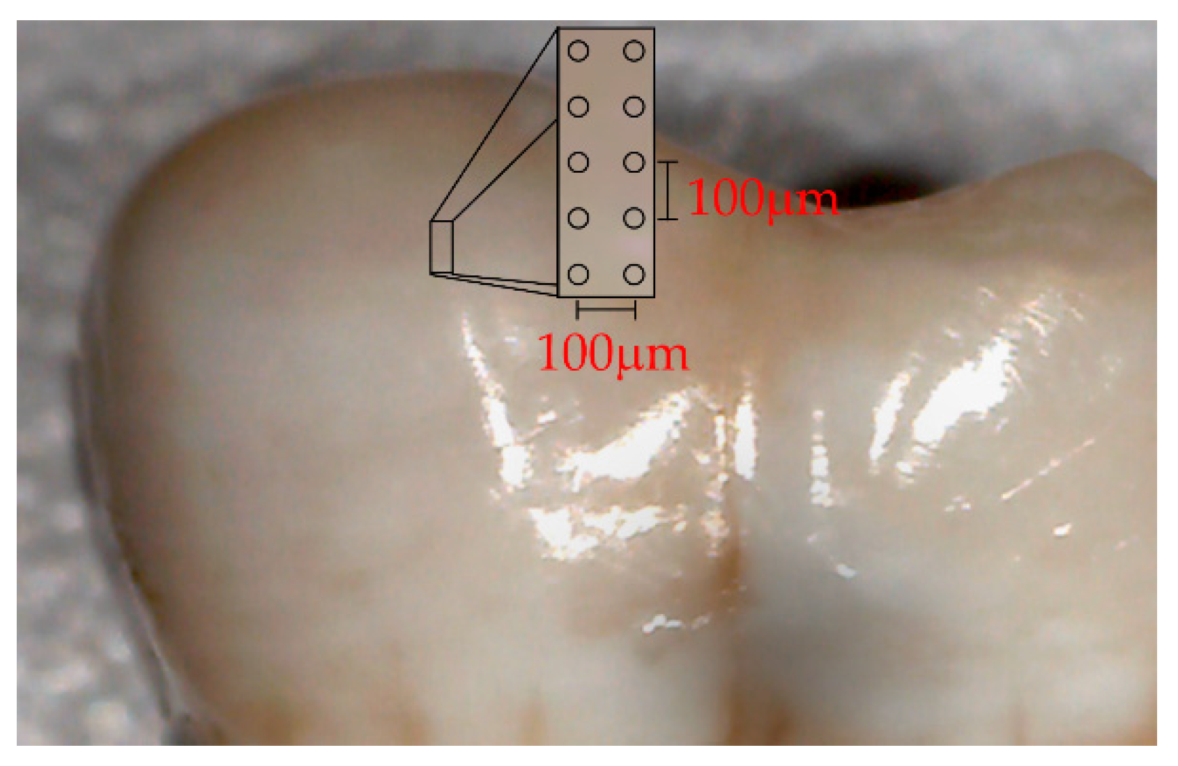 Ijerph 18 10572 g001