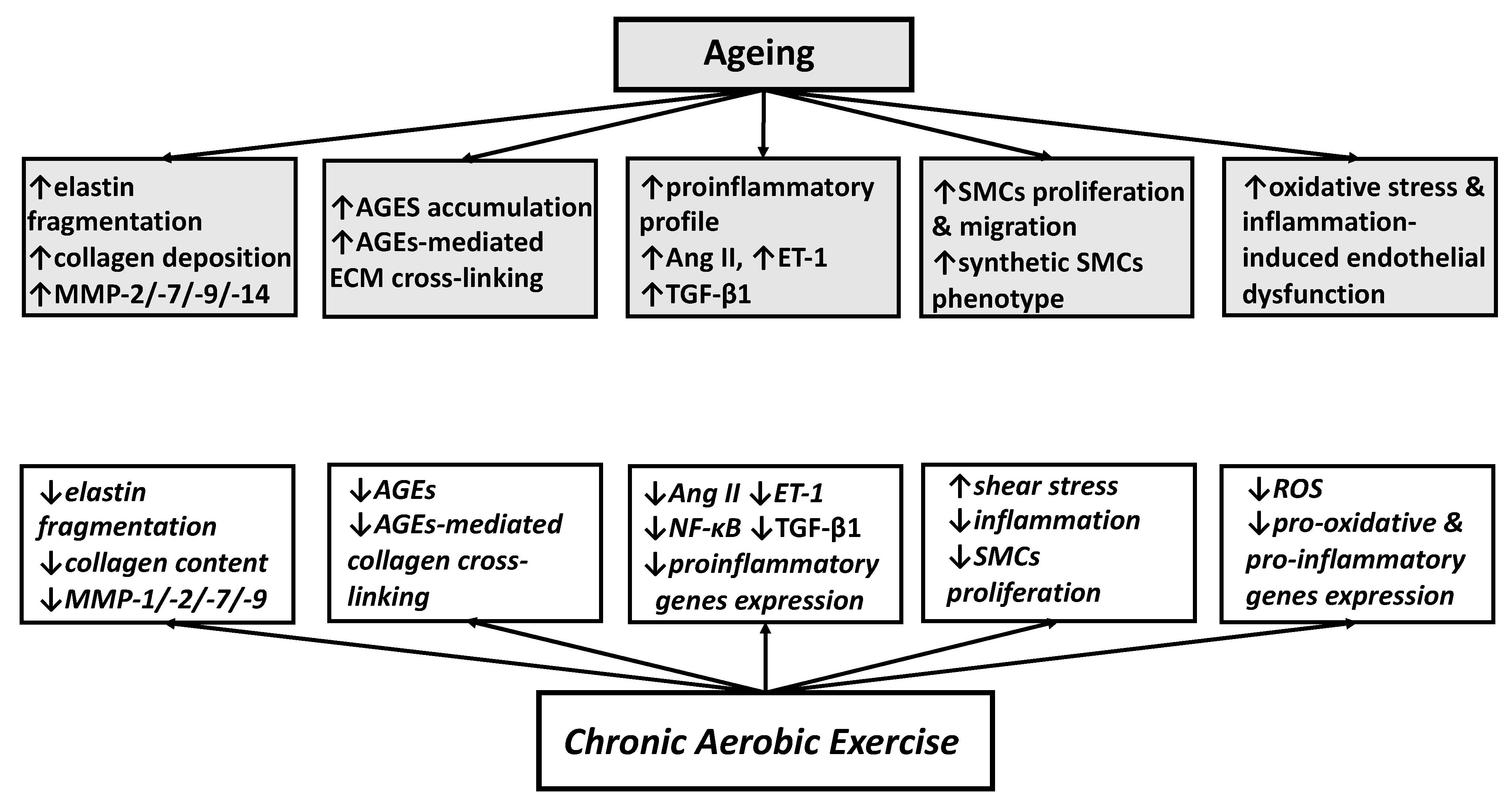 Ijerph 18 10666 g002