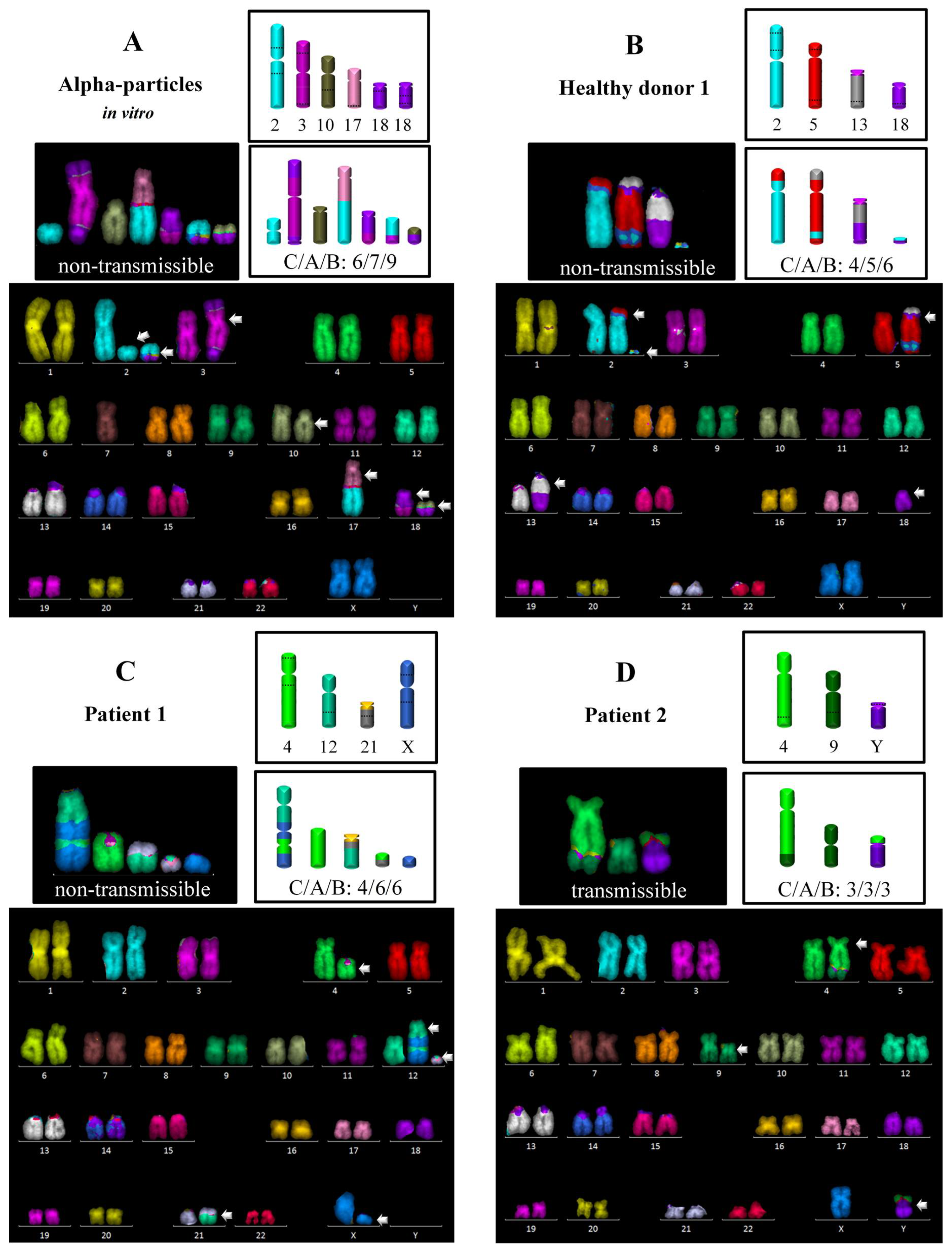 Ijerph 18 10757 g002