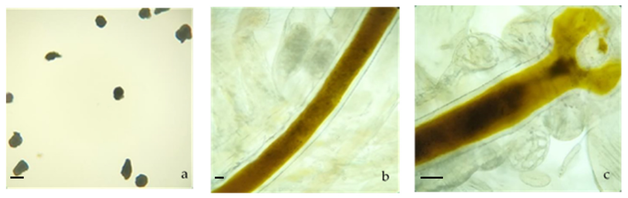 Ijerph 18 10773 g001