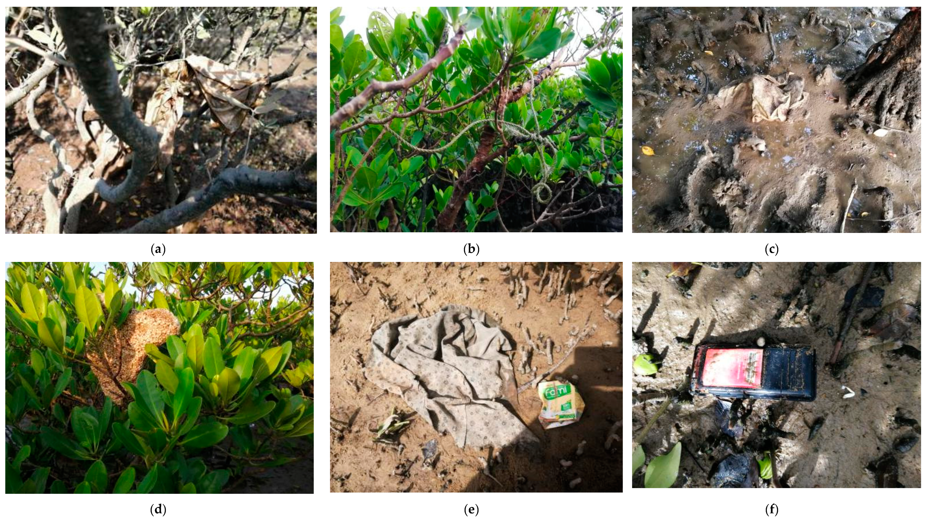 Ijerph 18 10826 g002a