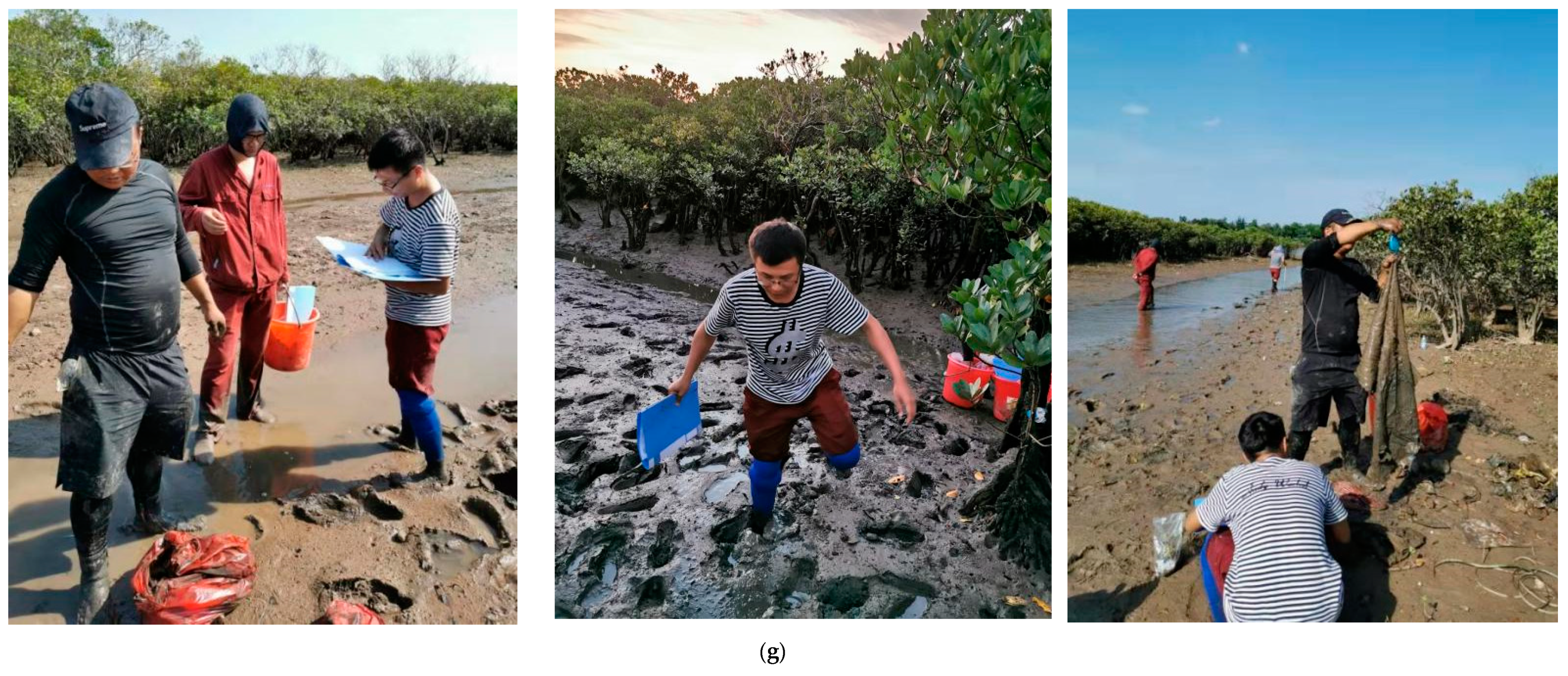 Ijerph 18 10826 g002b