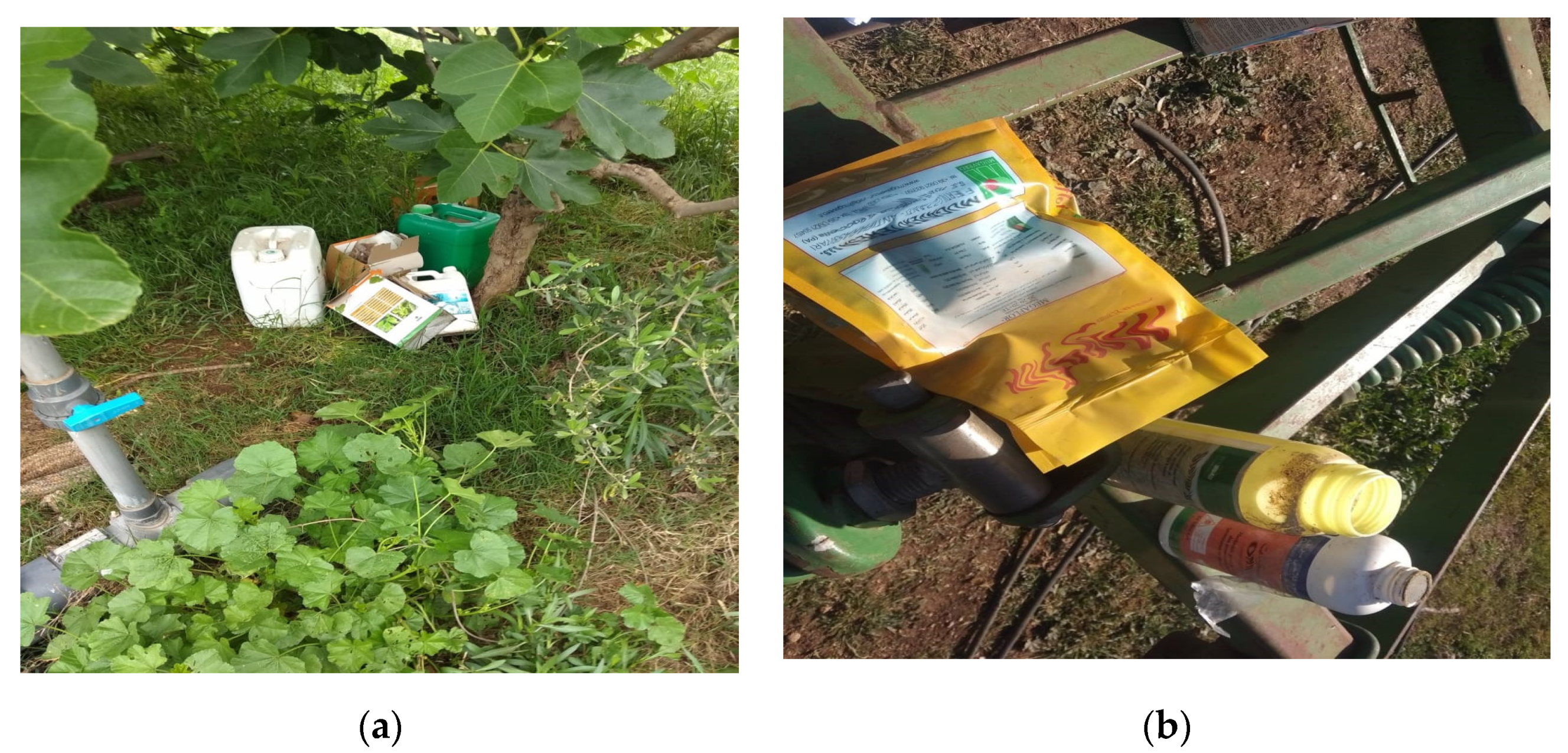 Ijerph 18 10879 g002