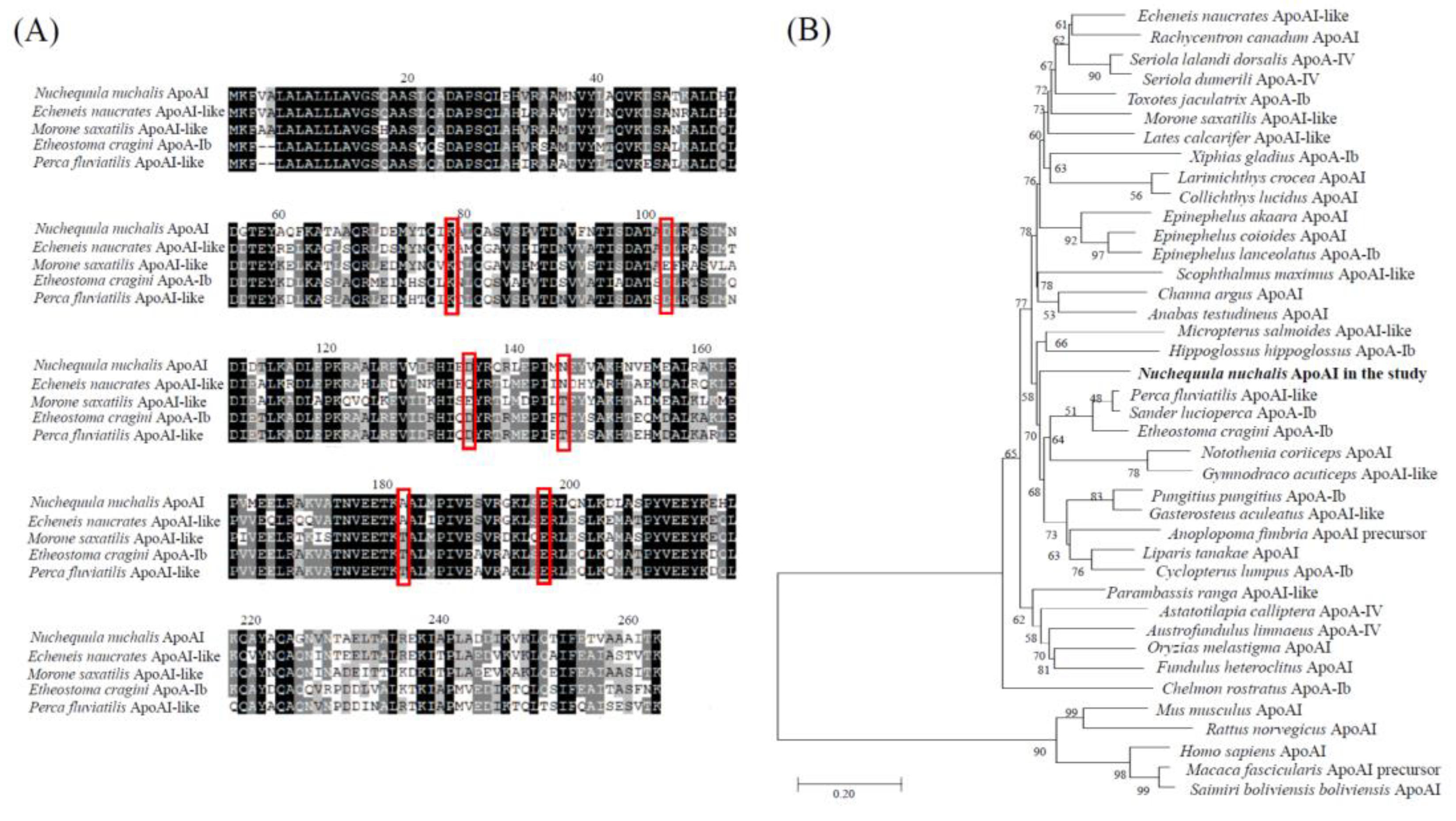 Ijerph 18 10960 g003