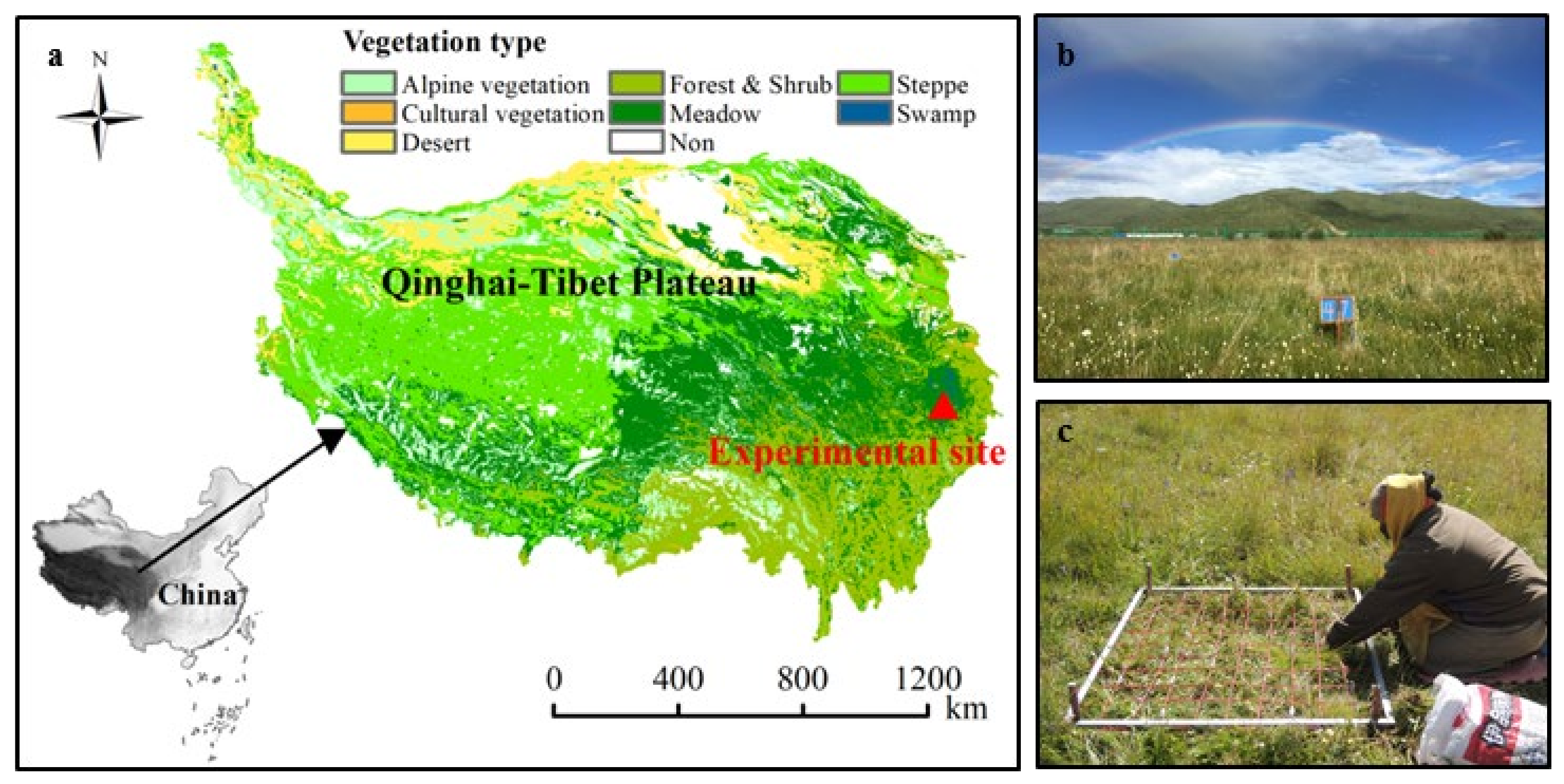 Ijerph 18 10998 g001