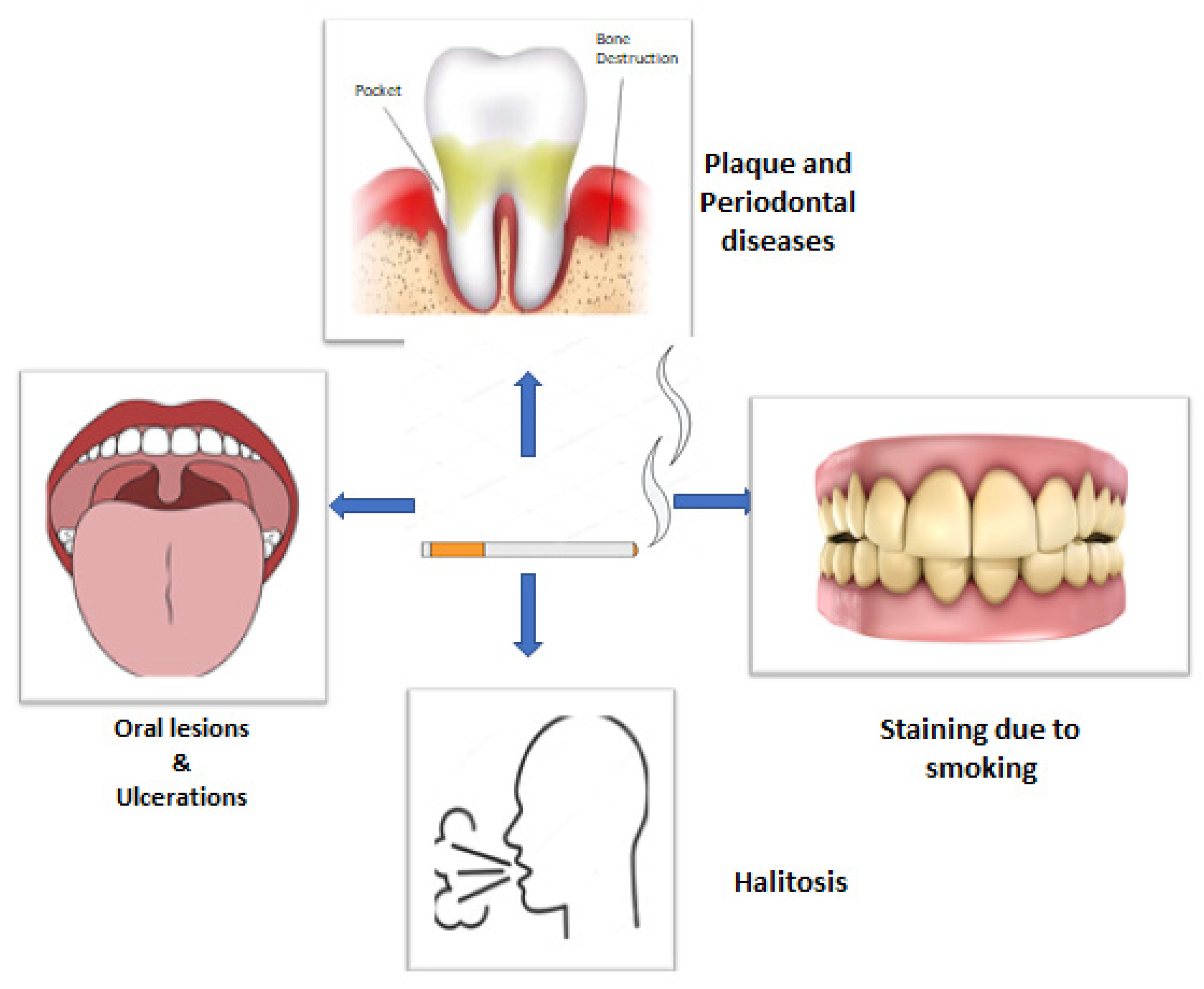 Ijerph 18 11003 g001