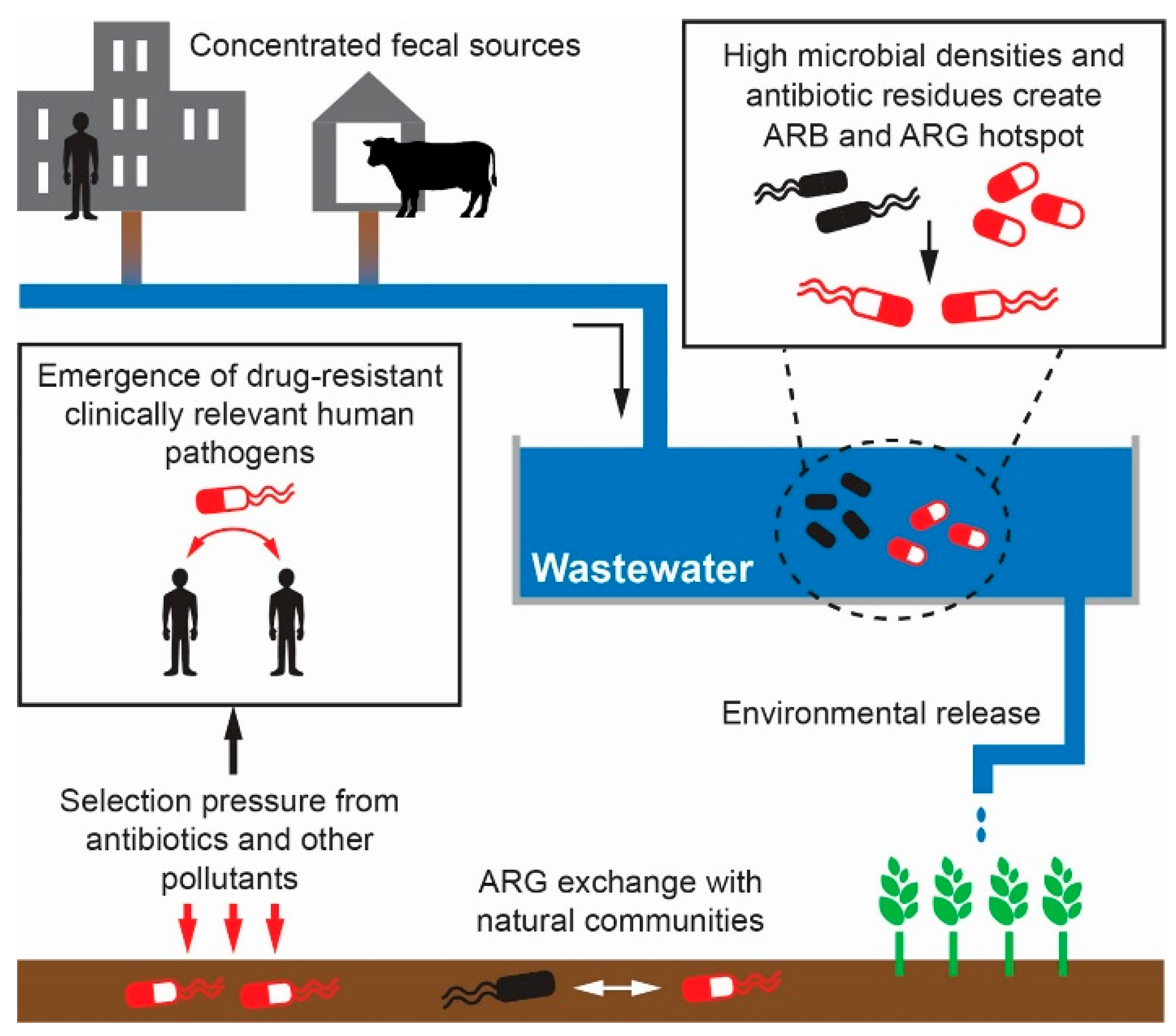 Ijerph 18 11046 g001