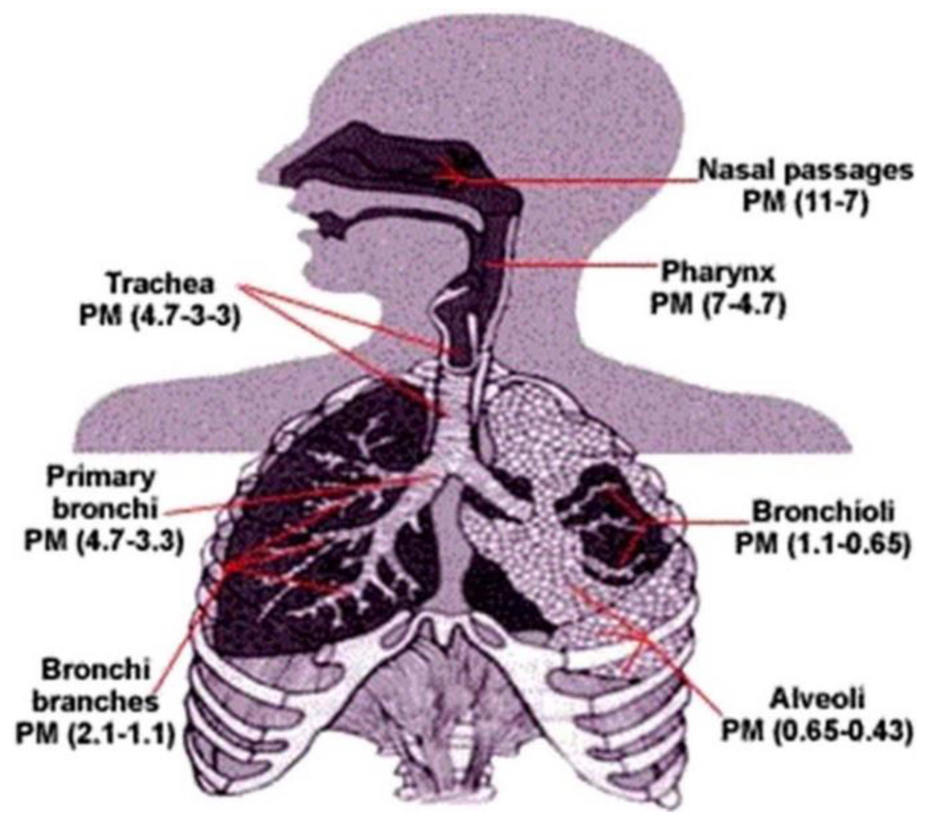 Ijerph 18 11055 g003