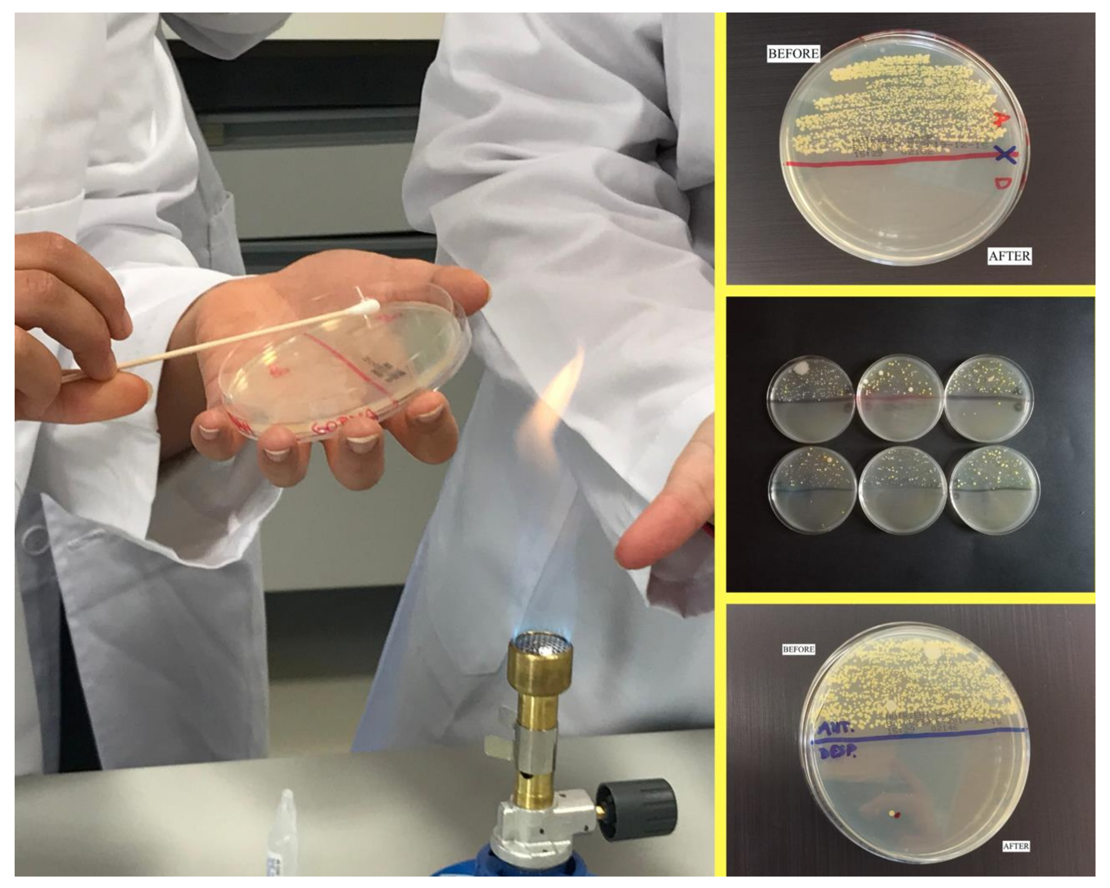 Ijerph 18 11123 g002