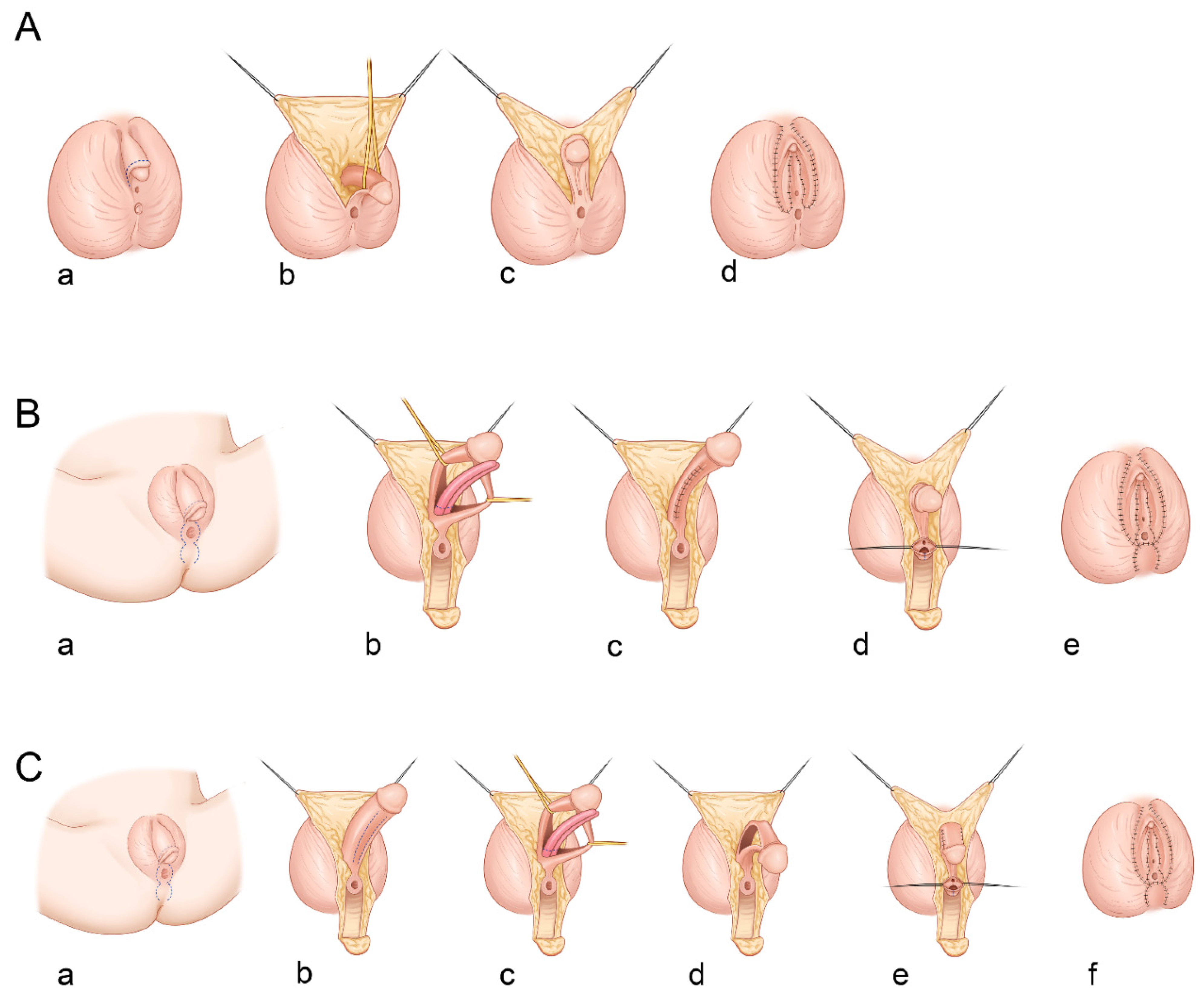 Ijerph 18 11152 g001