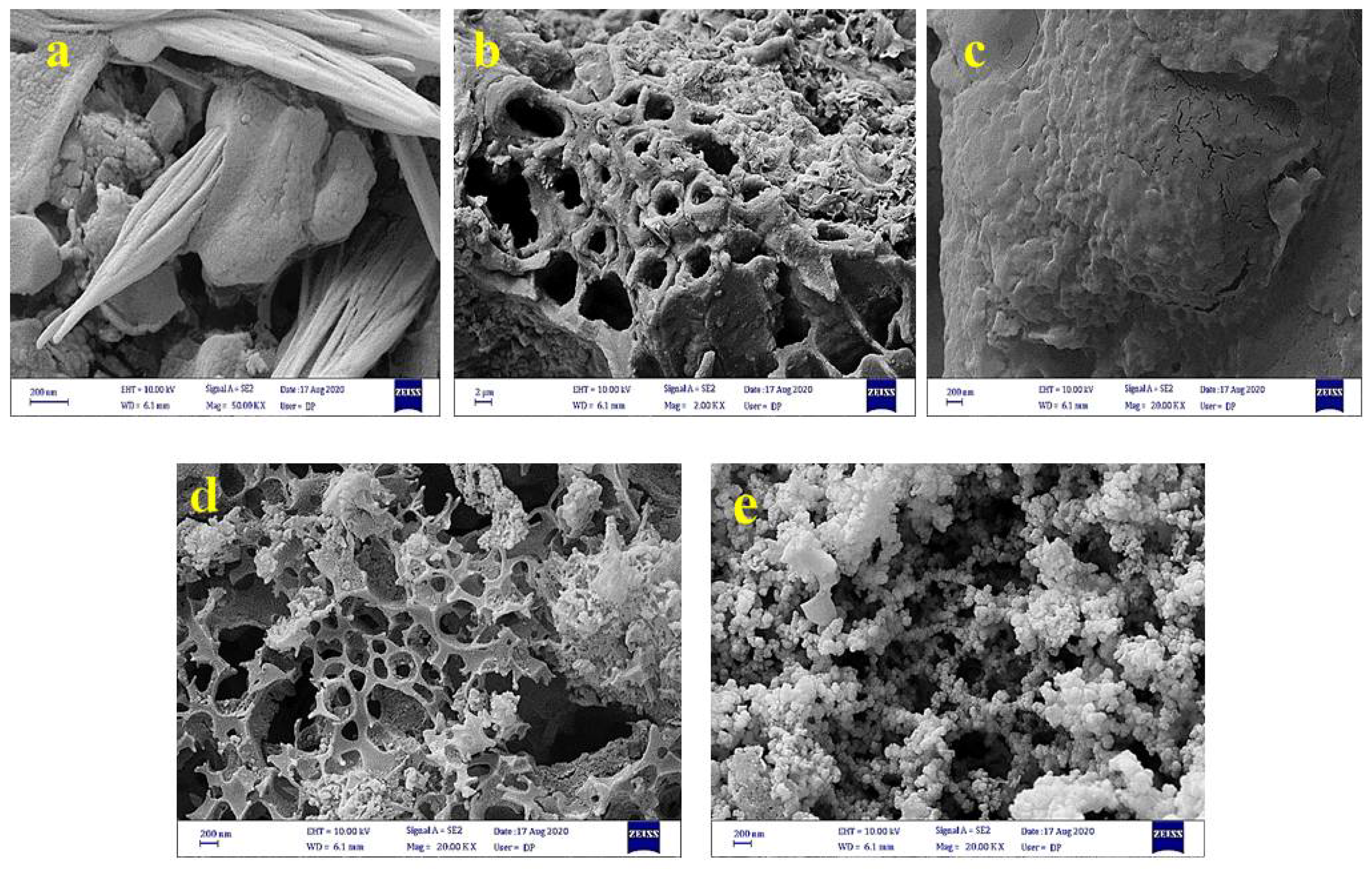 Ijerph 18 11163 g001