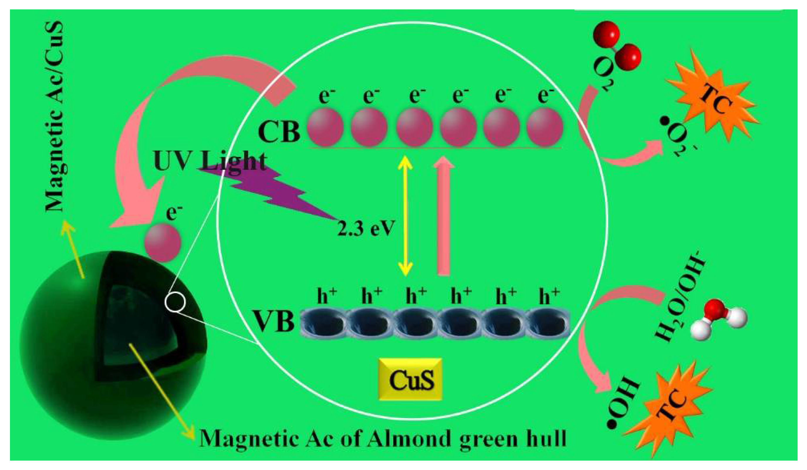 Ijerph 18 11163 g013