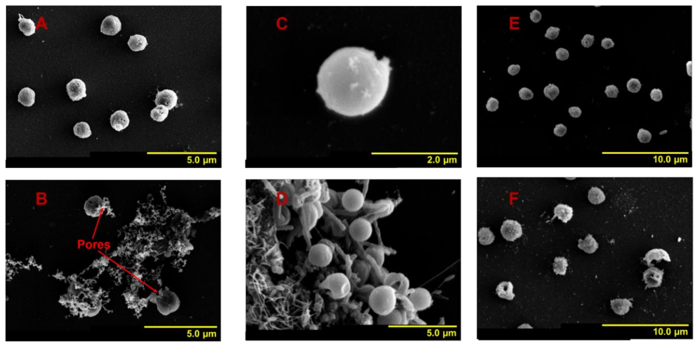 Ijerph 18 11191 g004