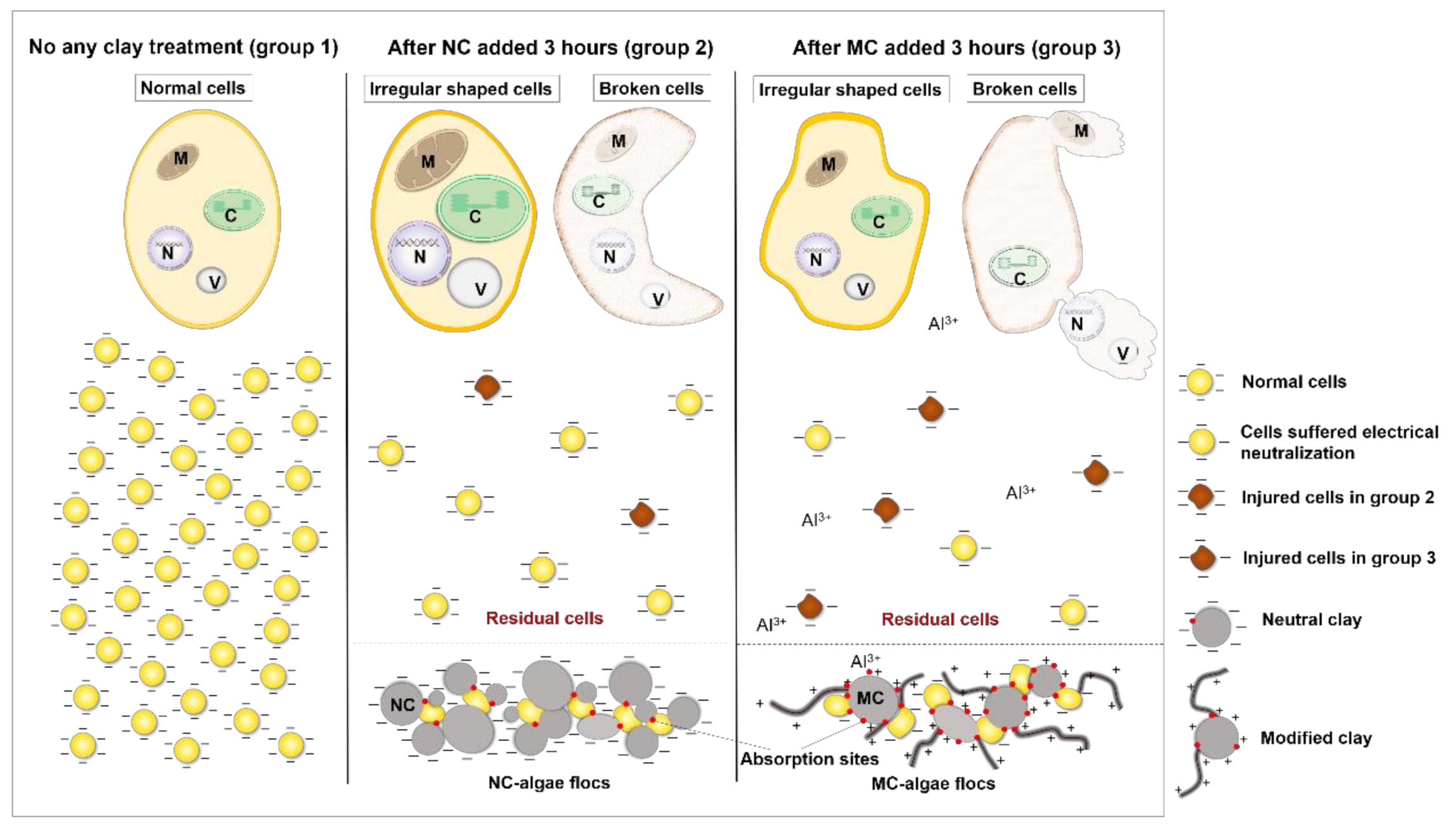 Ijerph 18 11191 g008