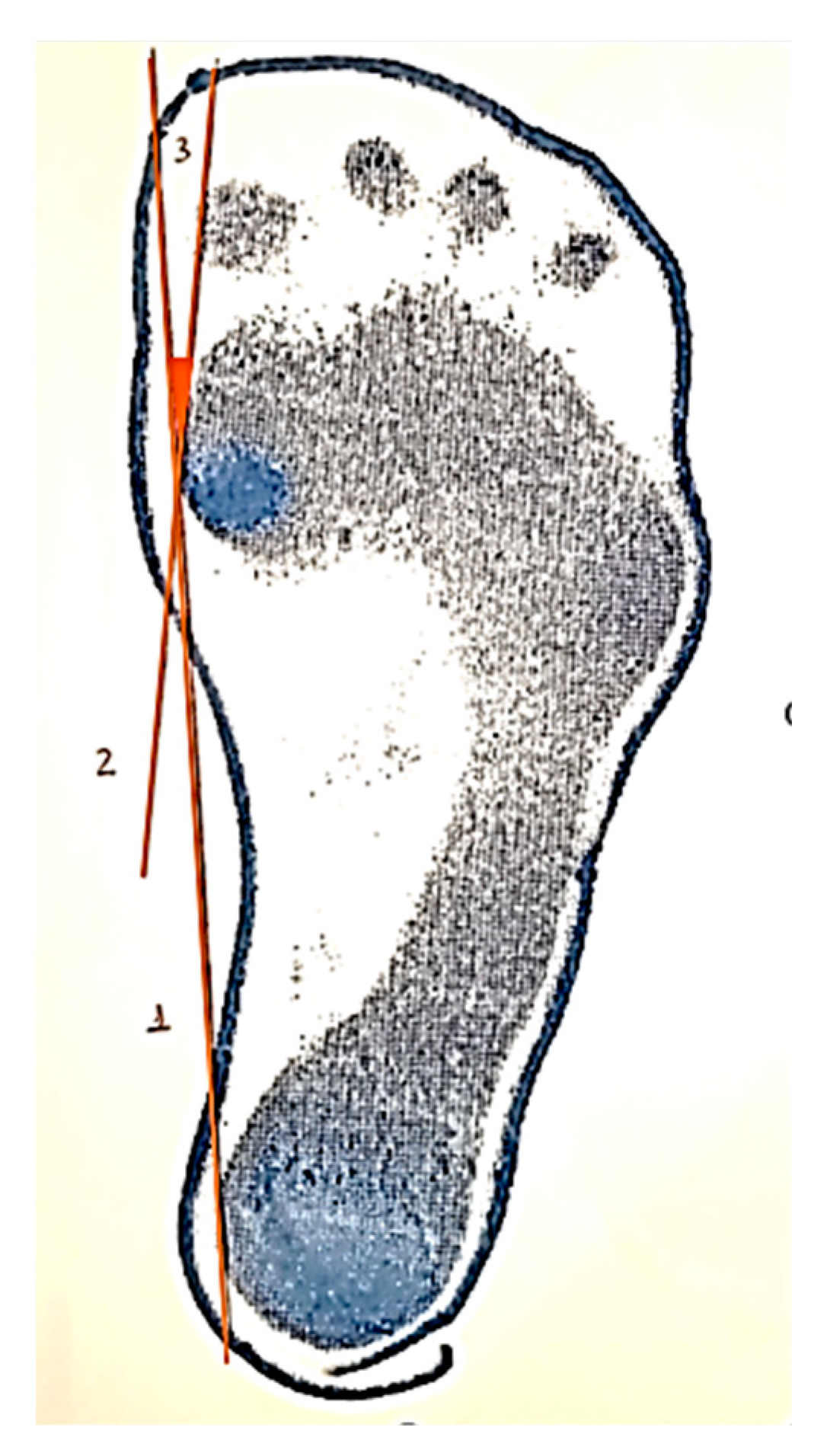 Ijerph 18 11244 g001 Ijerph 18 11244 g001