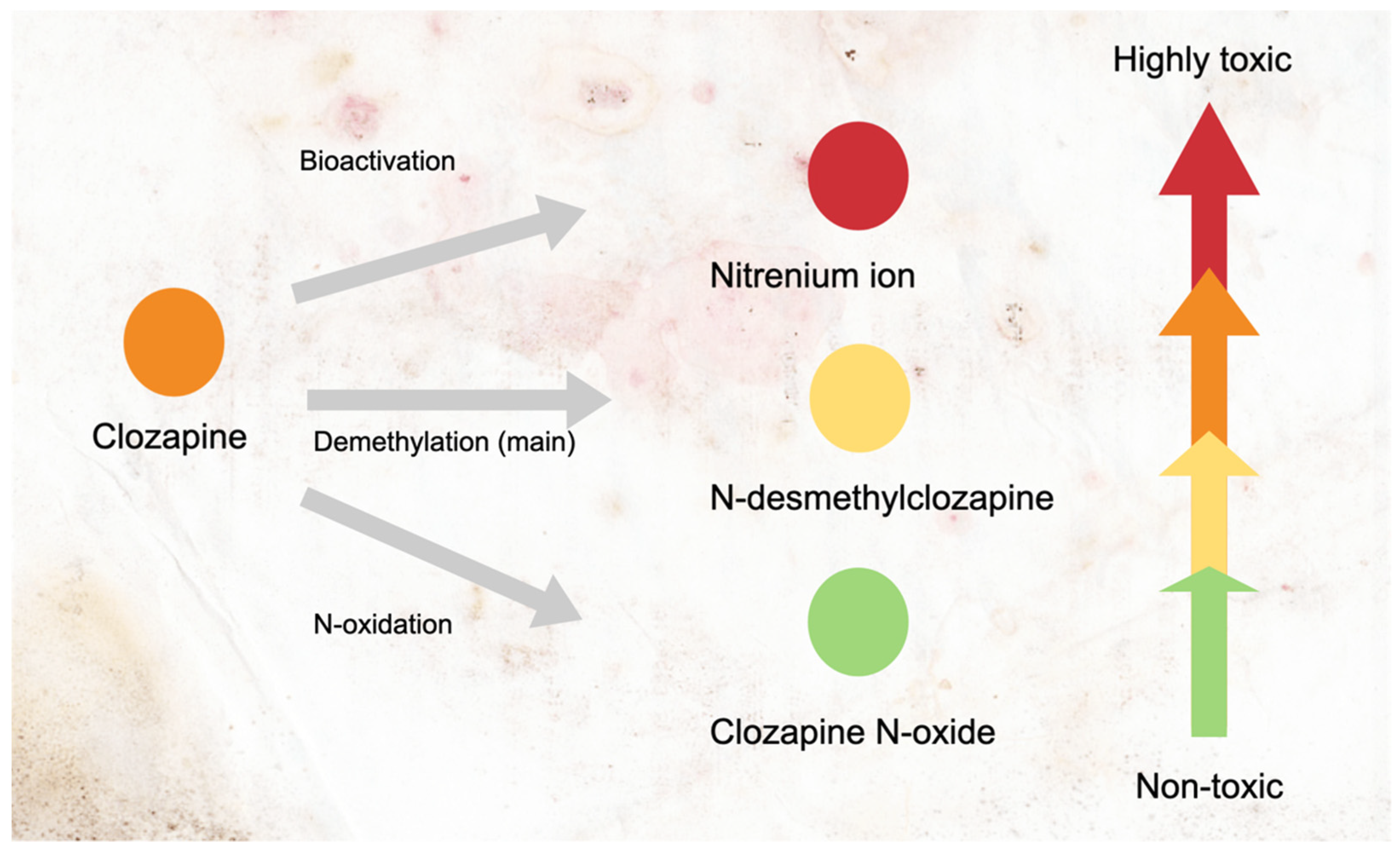 Ijerph 18 11289 g001