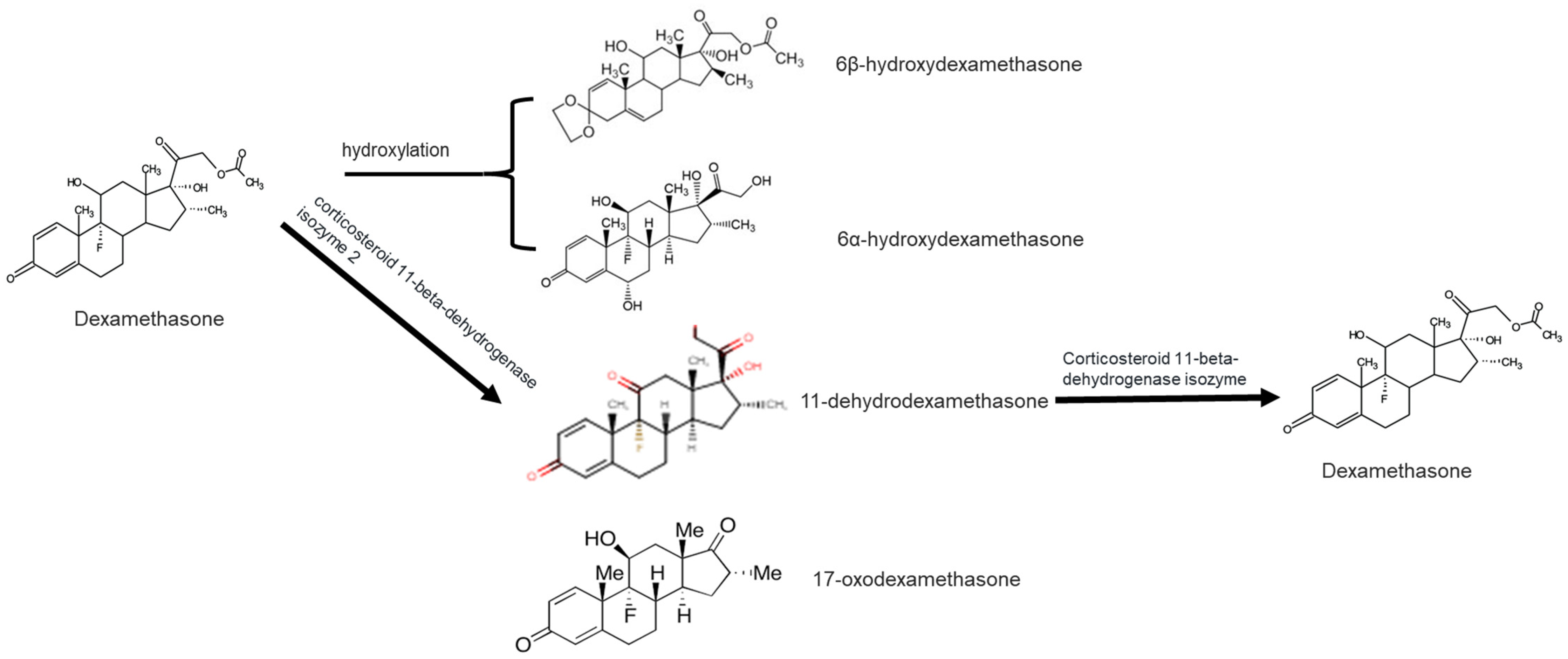 Ijerph 18 11291 g001