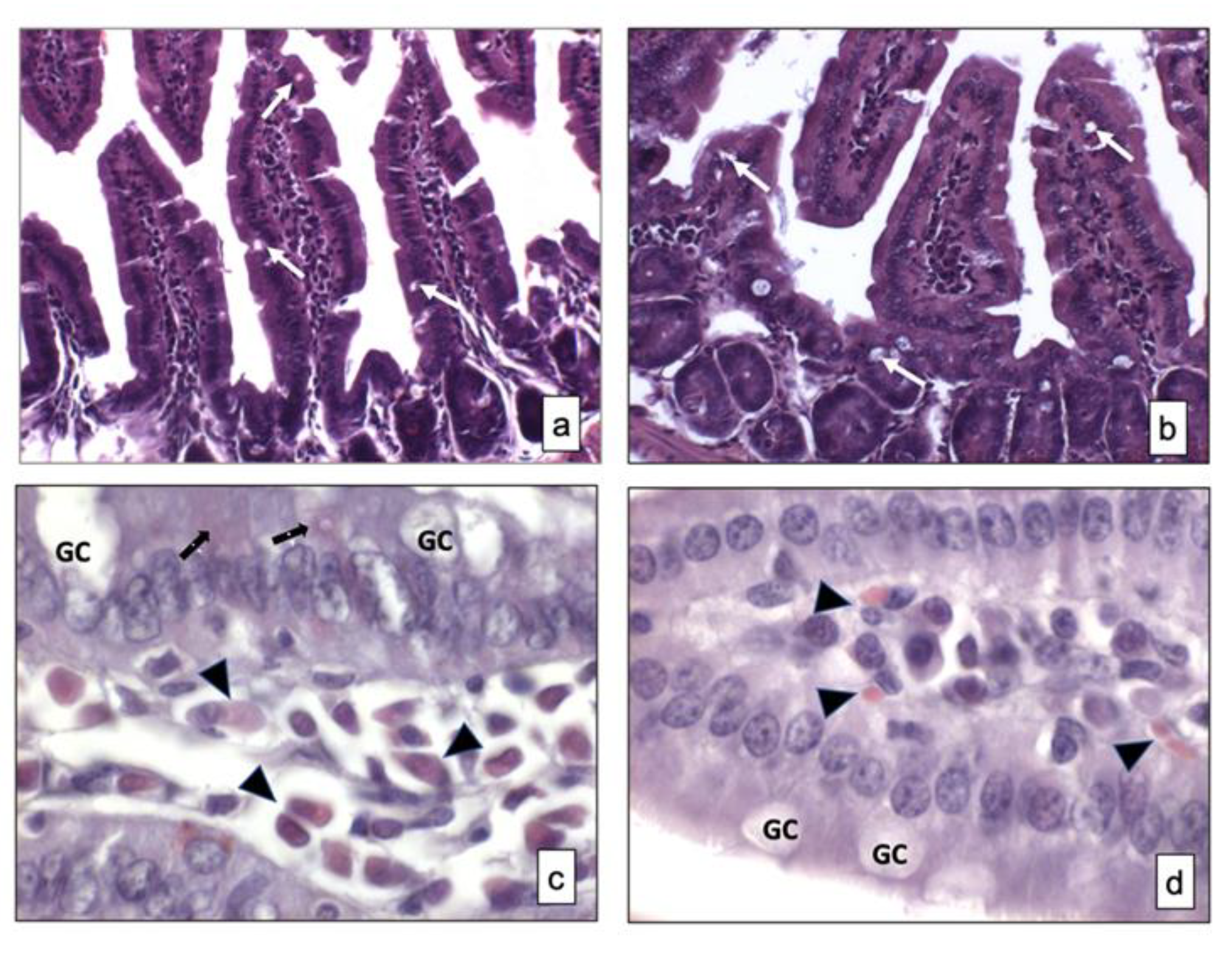Ijerph 18 11328 g001