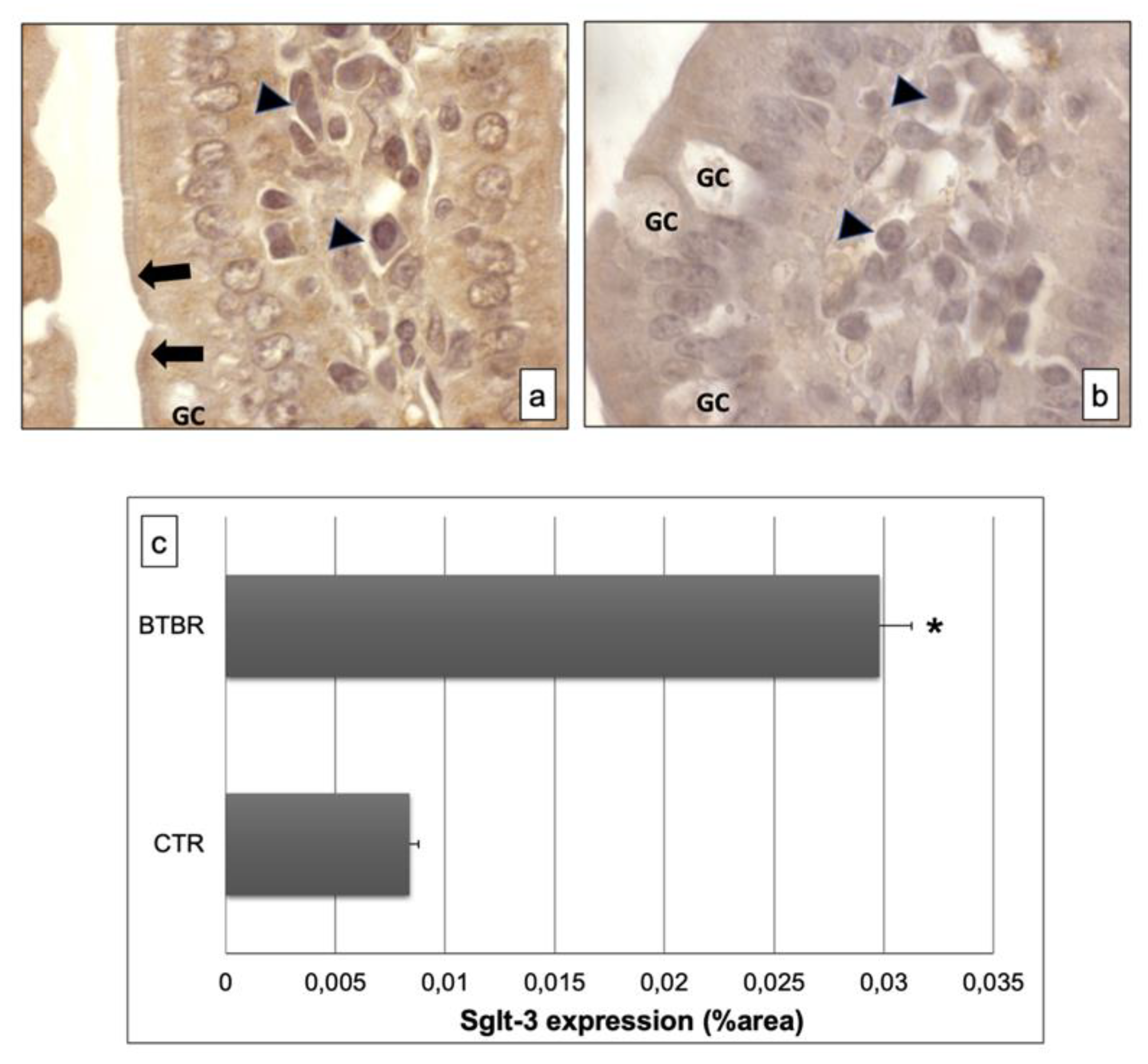 Ijerph 18 11328 g004