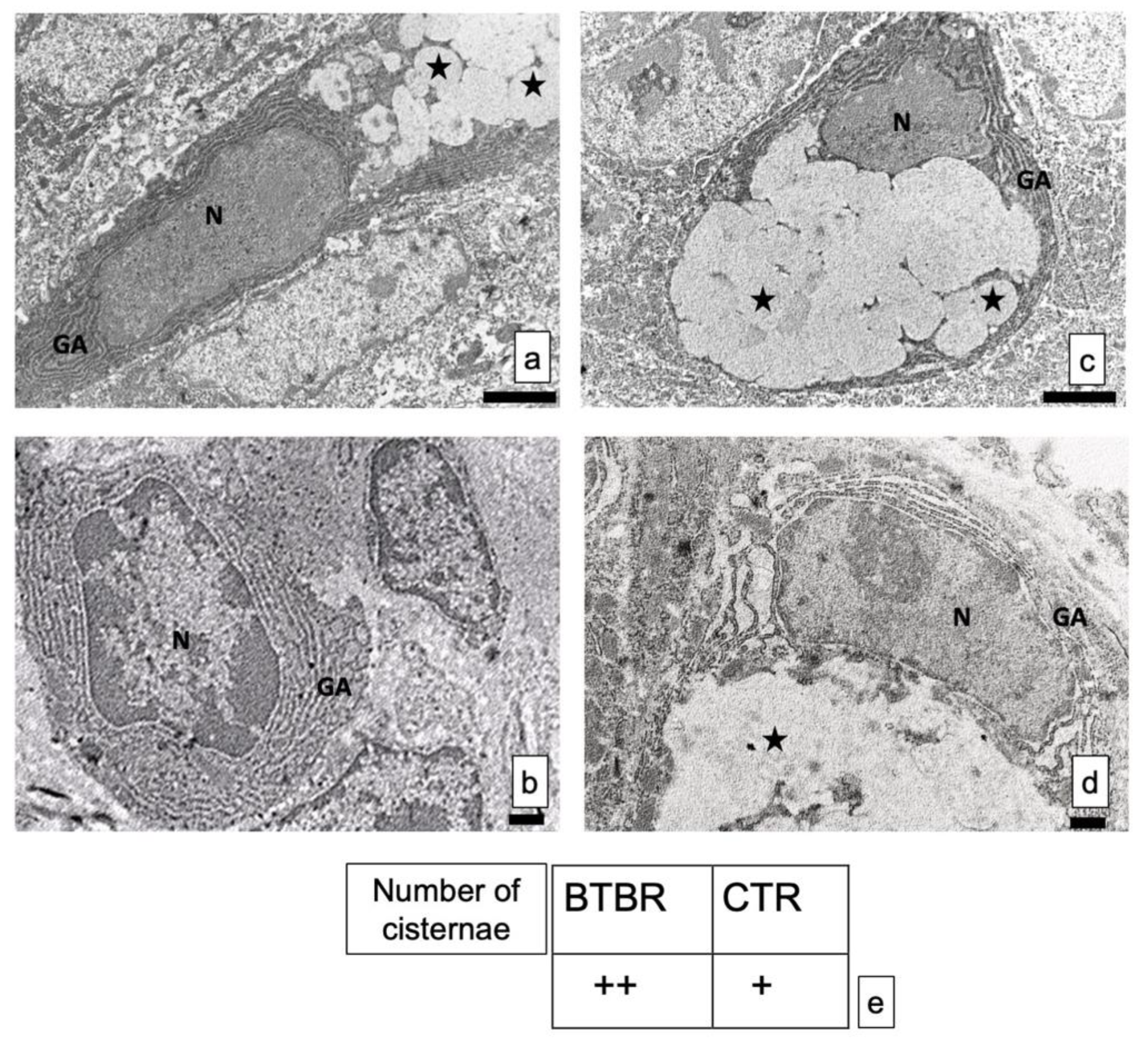 Ijerph 18 11328 g005