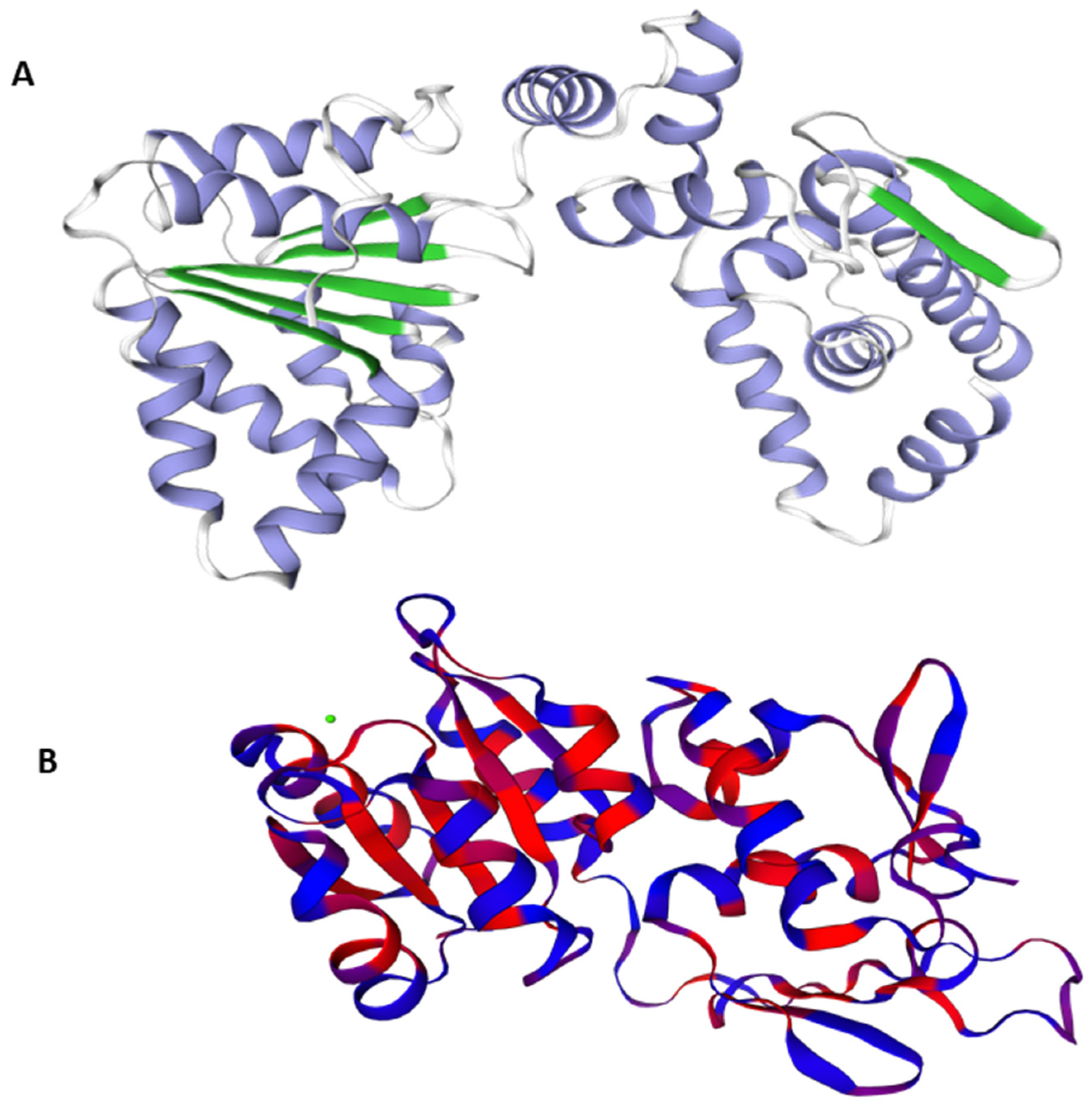 Ijerph 18 11355 g001 Ijerph 18 11355 g001