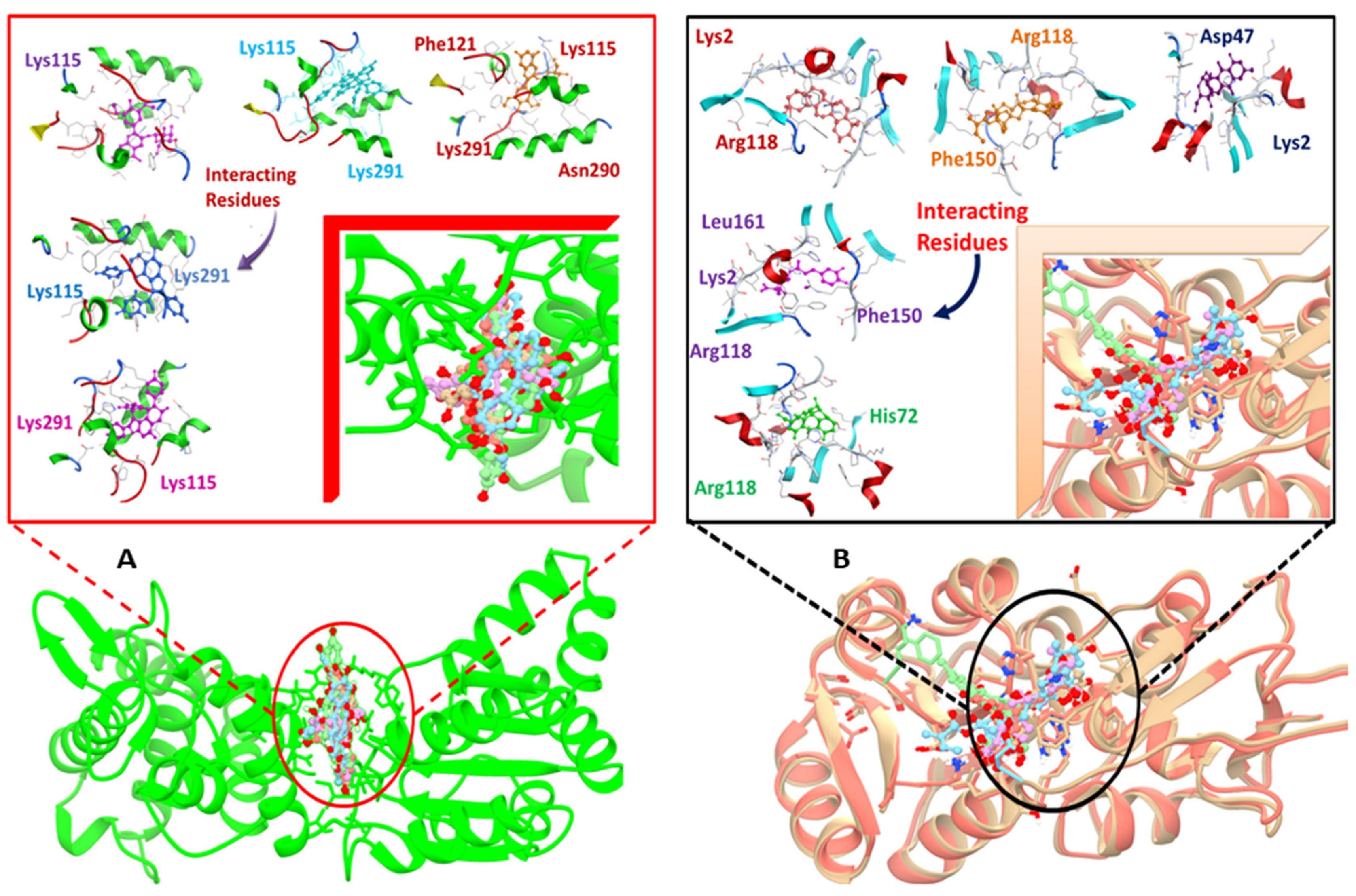 Ijerph 18 11355 g003 Ijerph 18 11355 g003