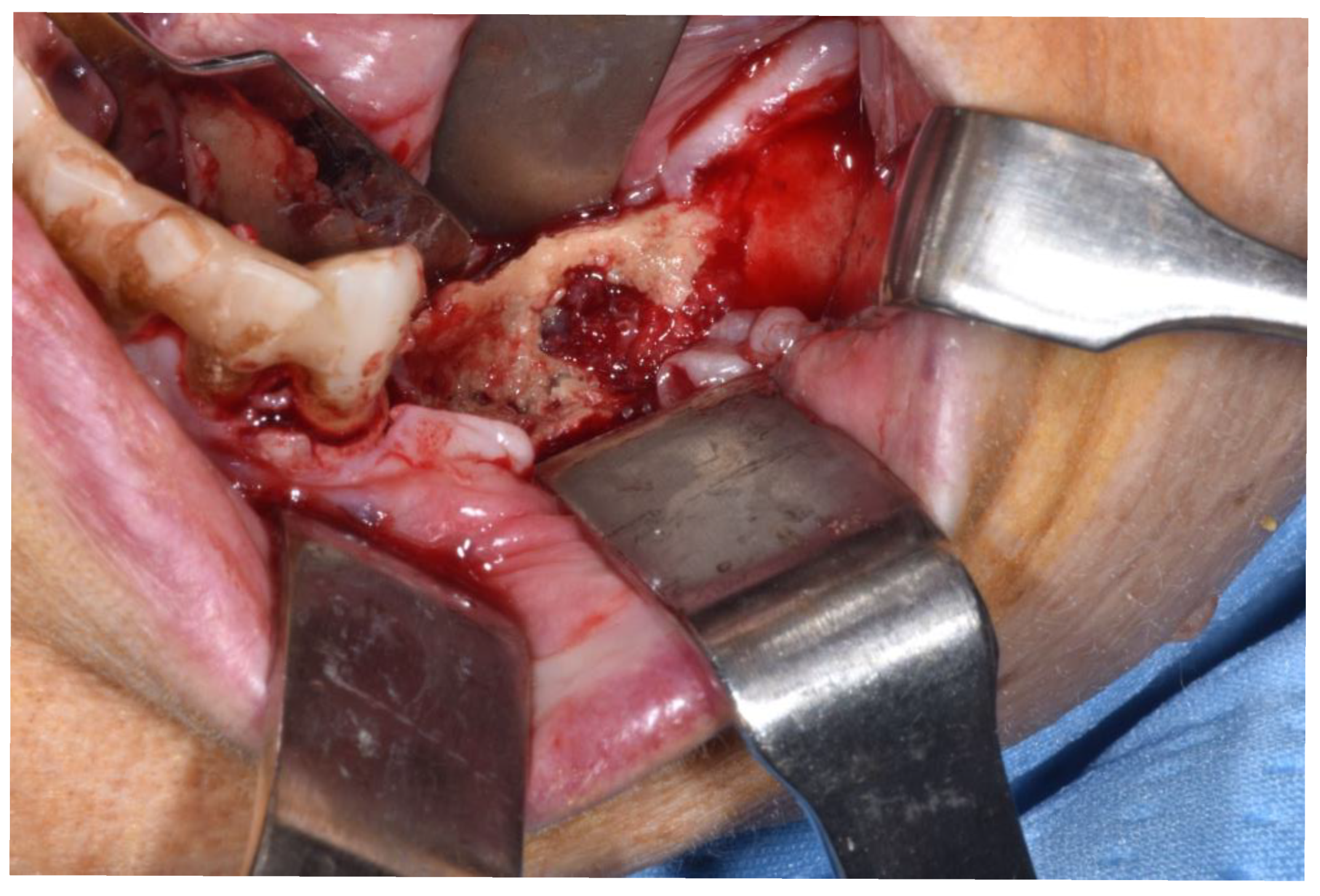 Ijerph 18 11362 g003