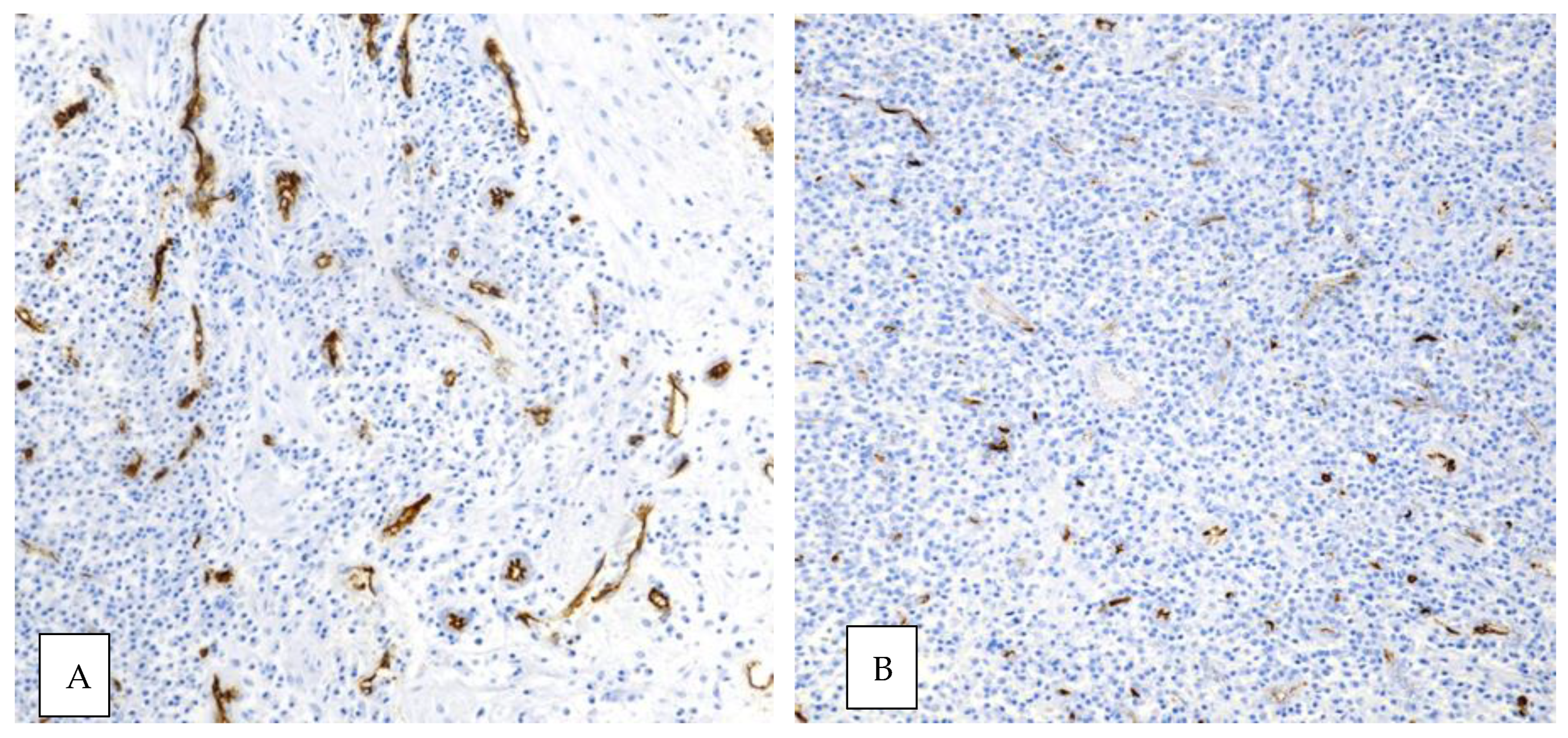 Ijerph 18 11362 g007